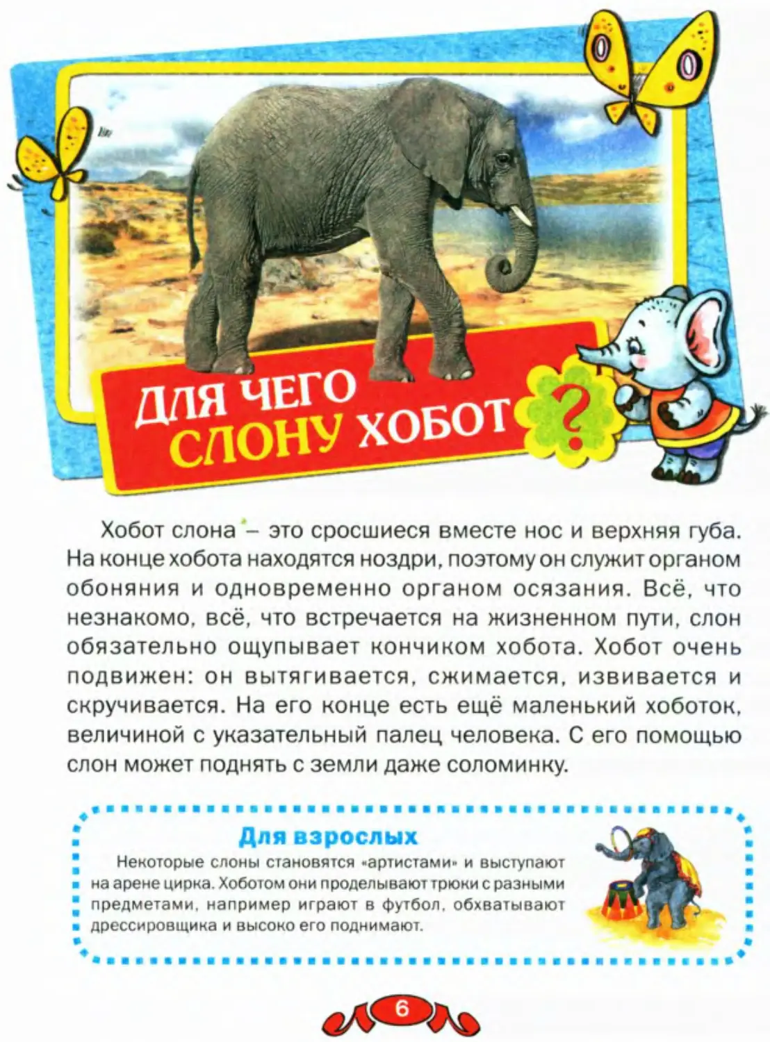 Для чего слону хобот?