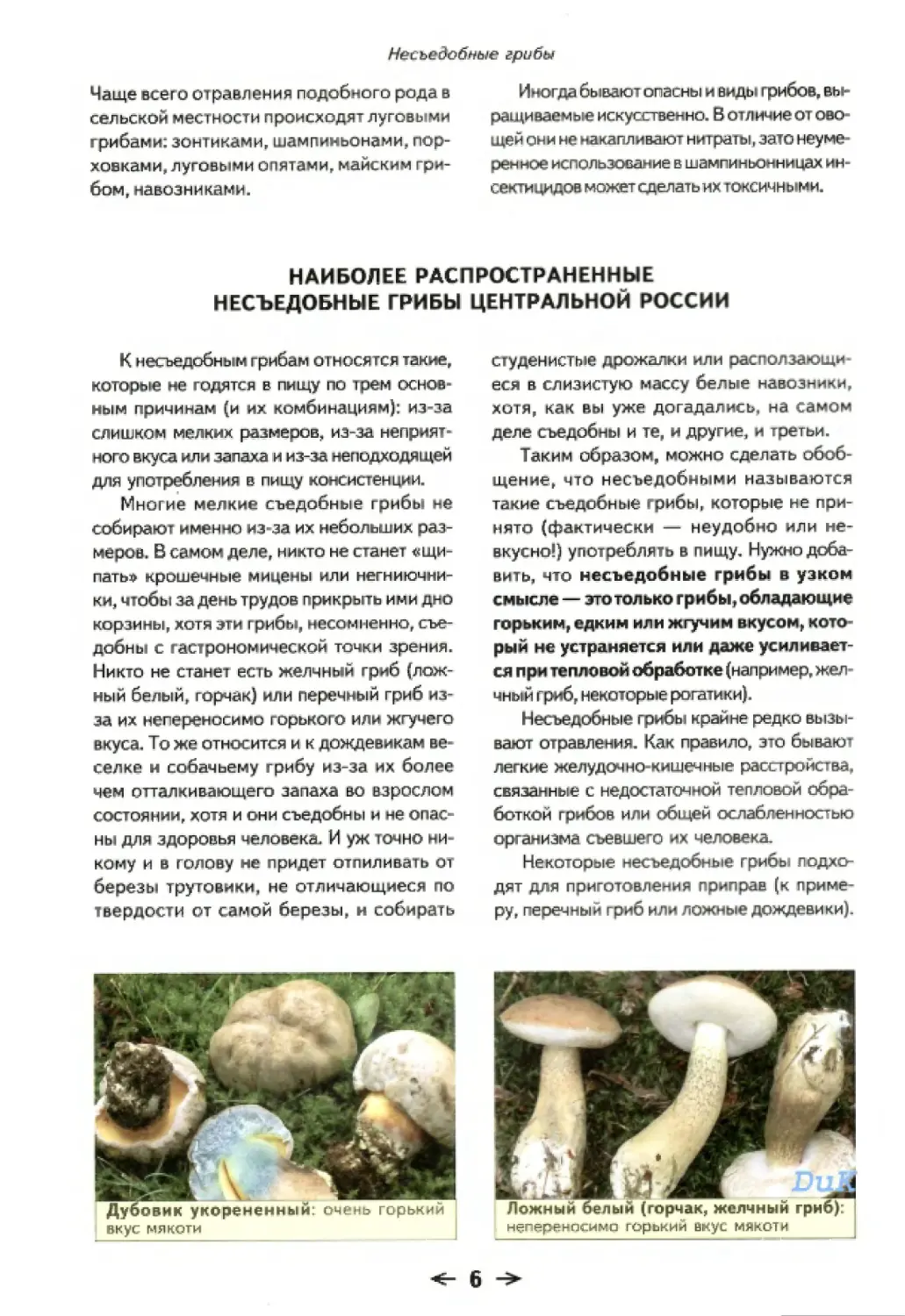 Наиболее распространенные несъедобные грибы Центральной России