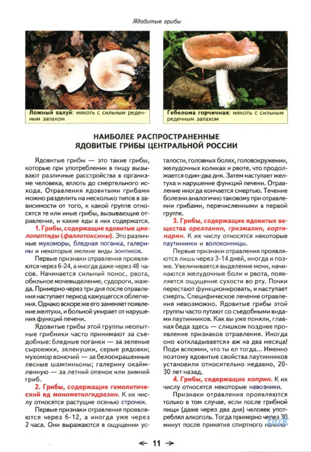 Наиболее распространенные ядовитые грибы Центральной России