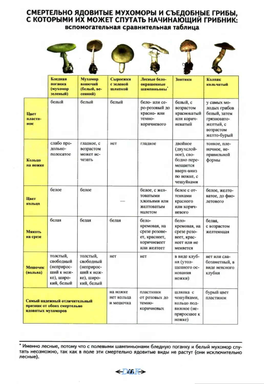 Смертельно ядовитые мухоморы и съедобные грибы, с которыми их может спутать начинающий грибник: вспомогательная сравнительная таблица