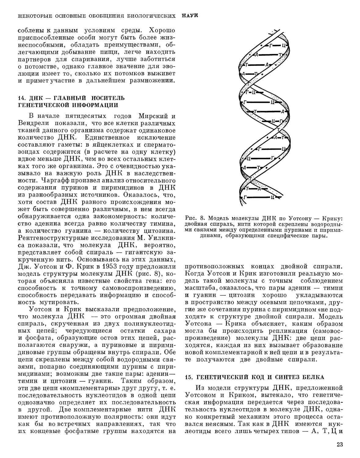 14. ДНК — главный носитель генетической информации
15. Генетический код и синтез белка