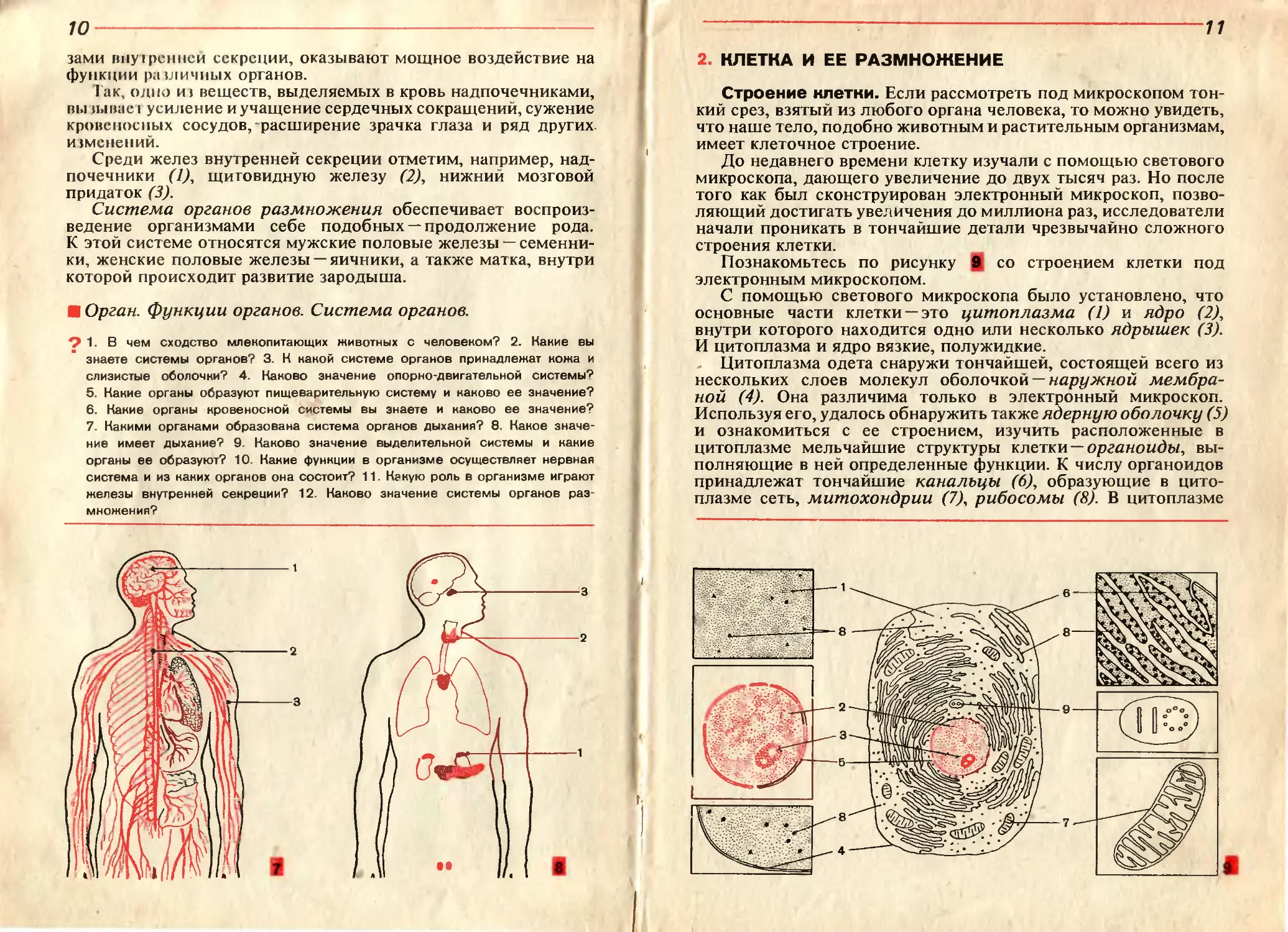 Брыксина анатомия и физиология. Человек. Анатомия, физиология, гигиена. 8 Класс. А.М.Цузмер. 8 Класс биология.анатомия и физиология. Учебник биологии 8 класс анатомия. Цузмер Петришина человек анатомия физиология гигиена.