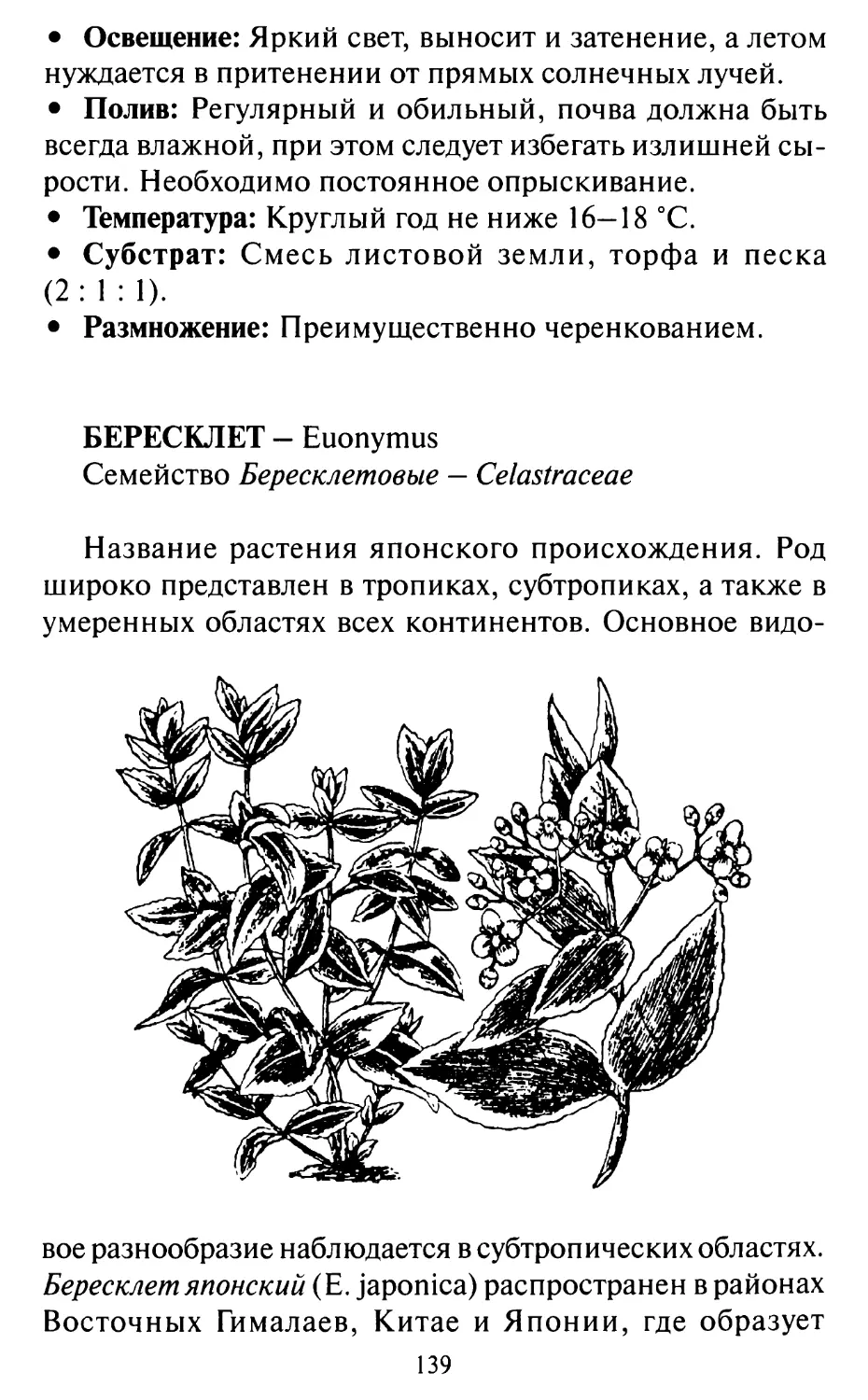Бересклет — Euonymus