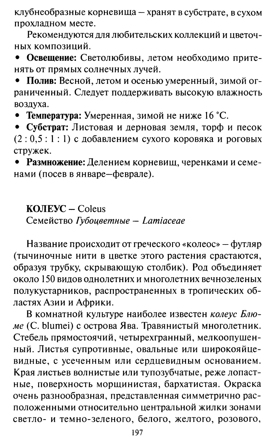 Колeyс - Coleus