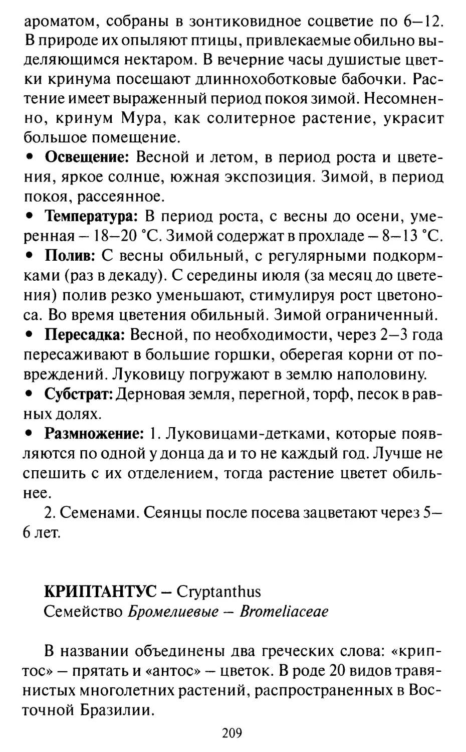 Криптантус — Cryptanthus