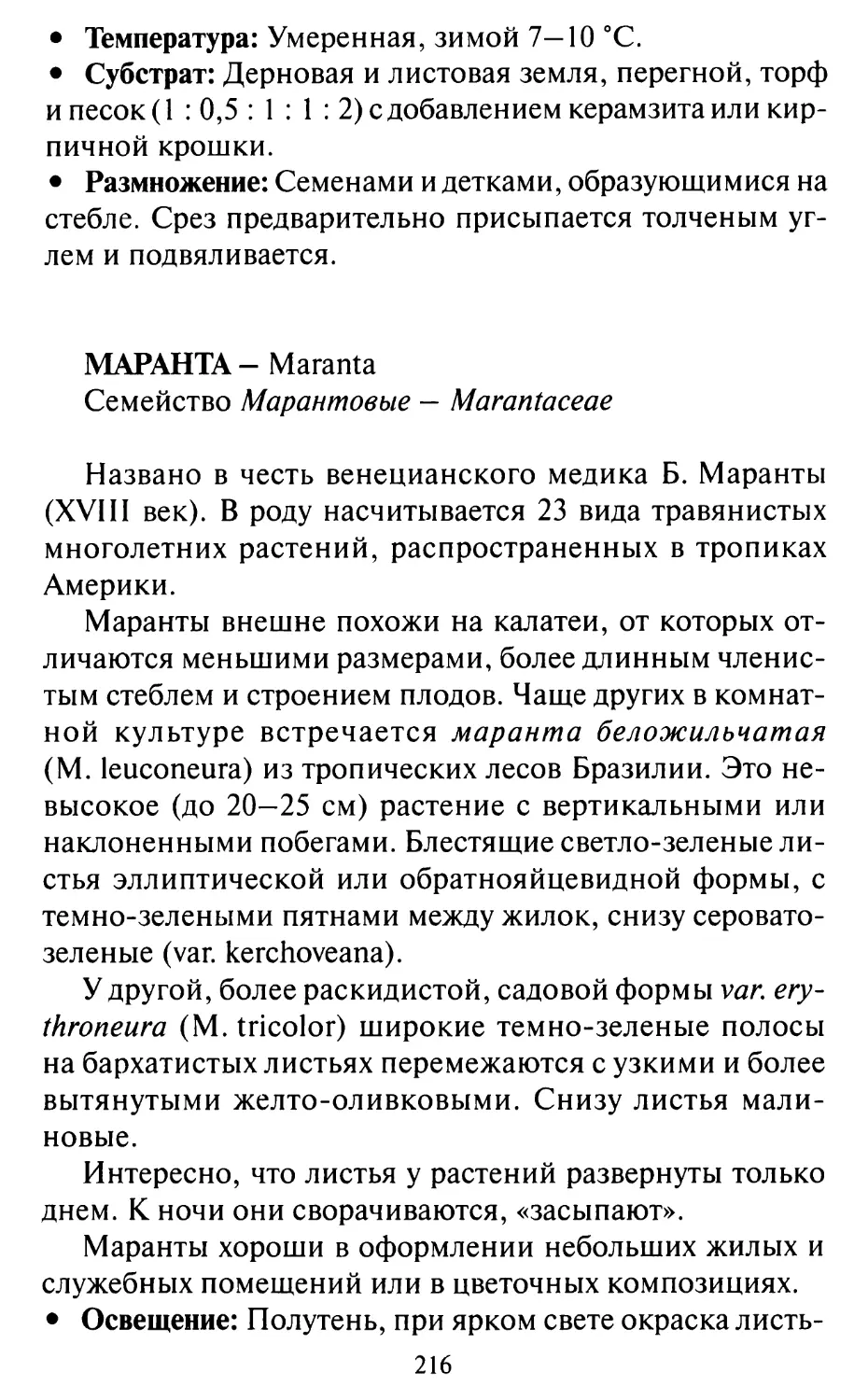 Маранта - Maranta