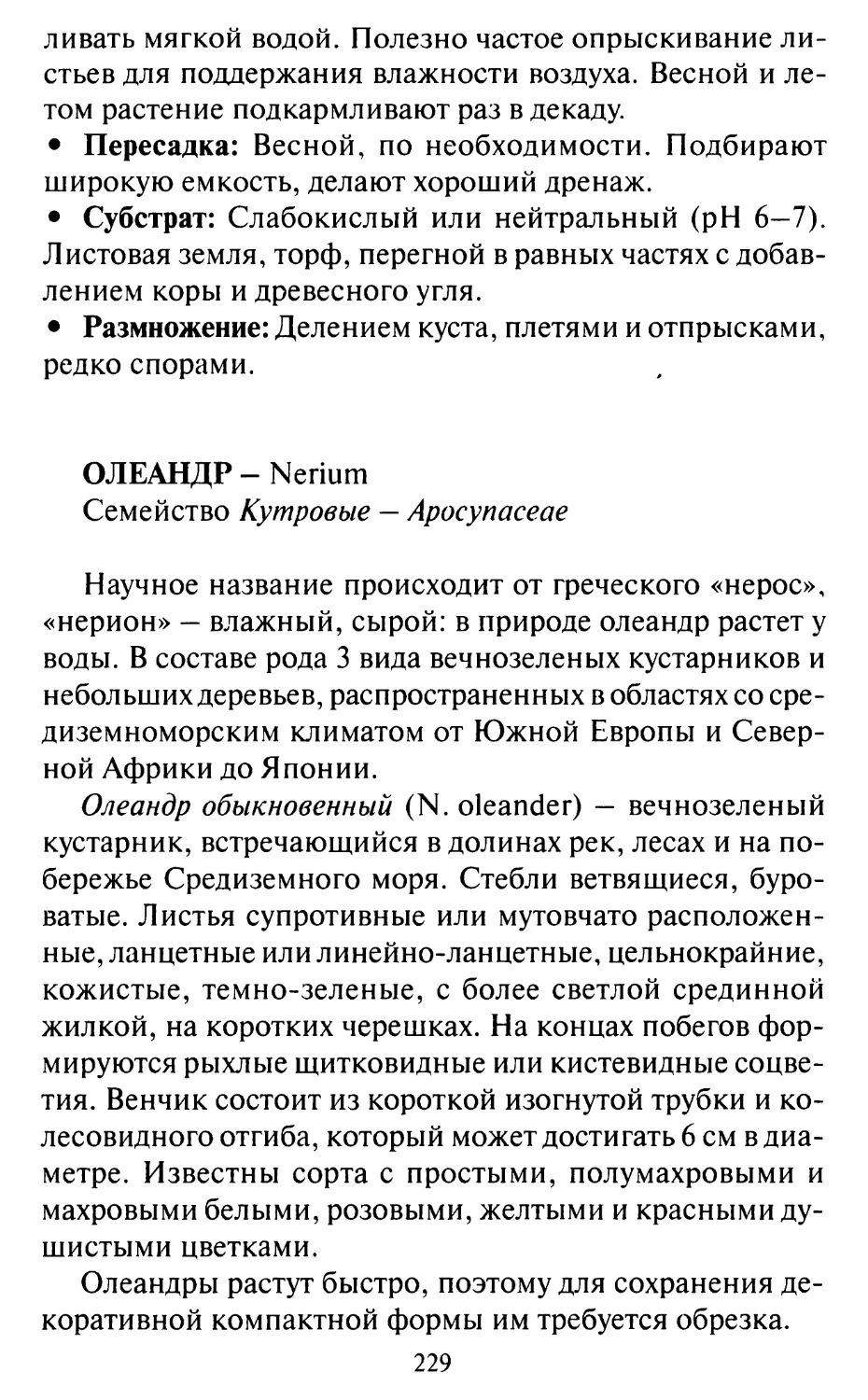 Олеандр - Nerium