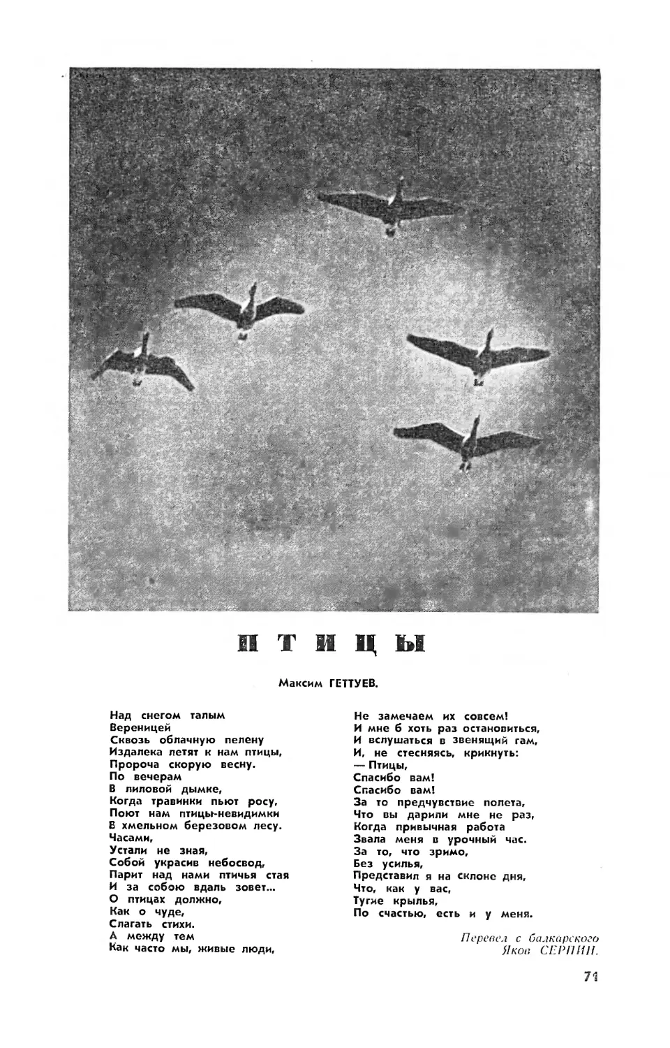 М. ГЕТТУЕВ — Птицы