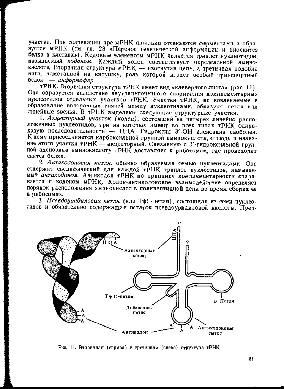 манга занимательная молекулярная биология скачать бесплатно фото 119