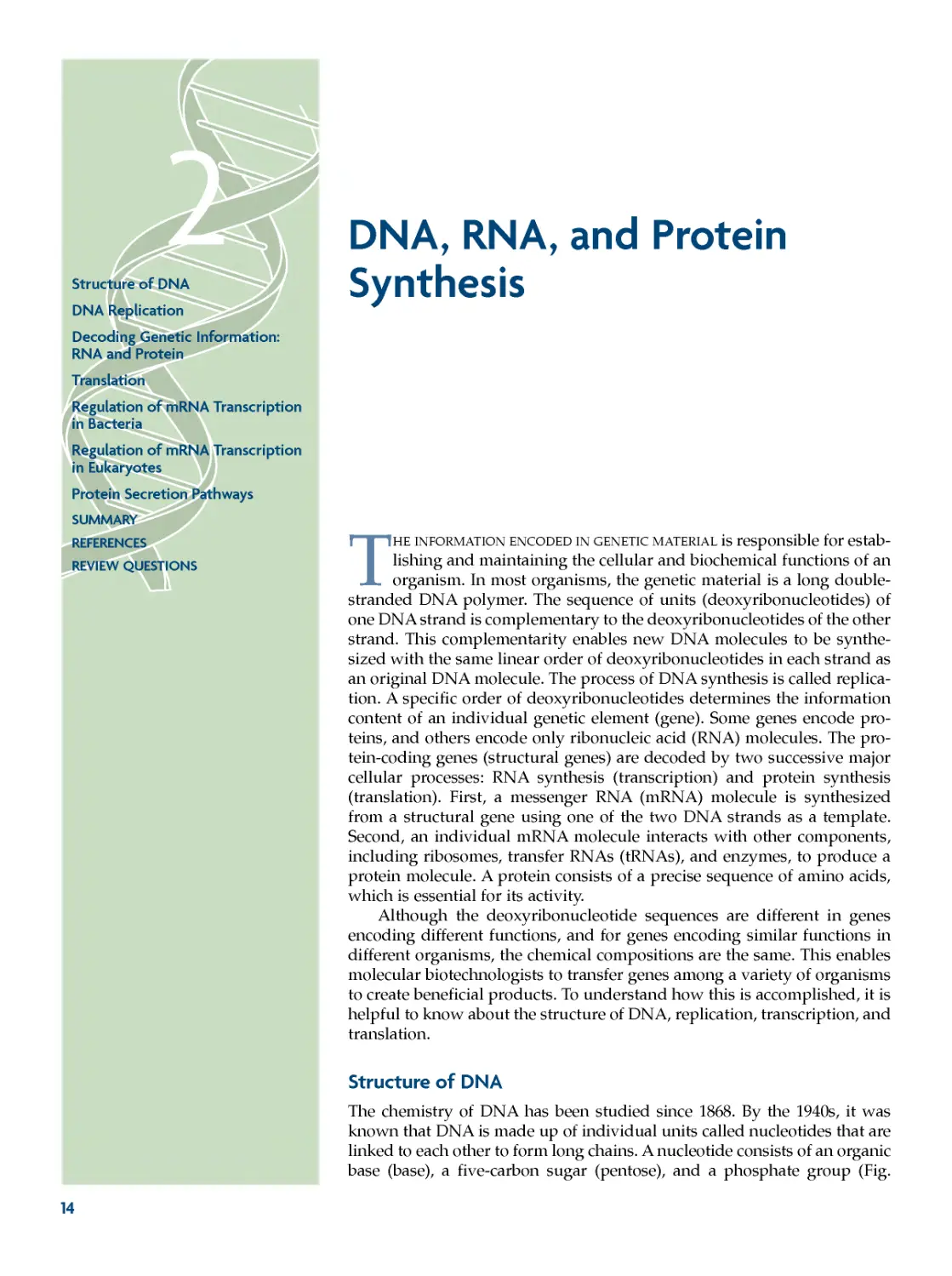 Chapter 2 DNA, RNA, And Protein Synthesis