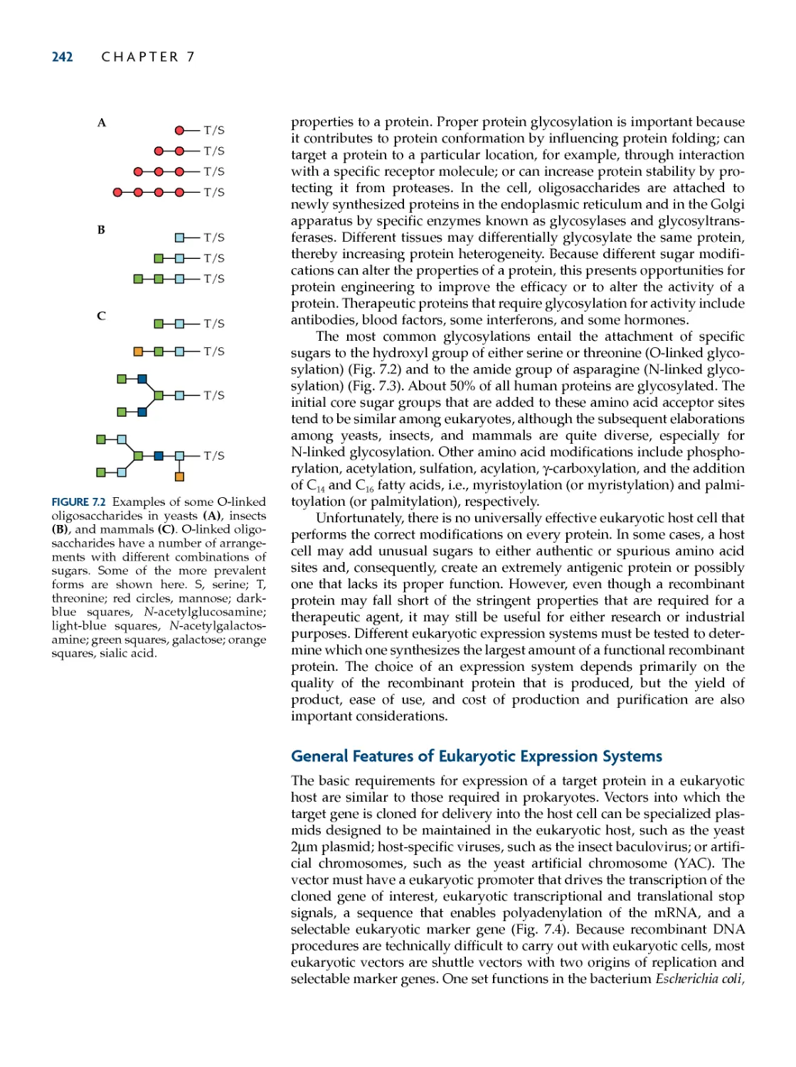 General Features of Eukaryotic Expression Systems