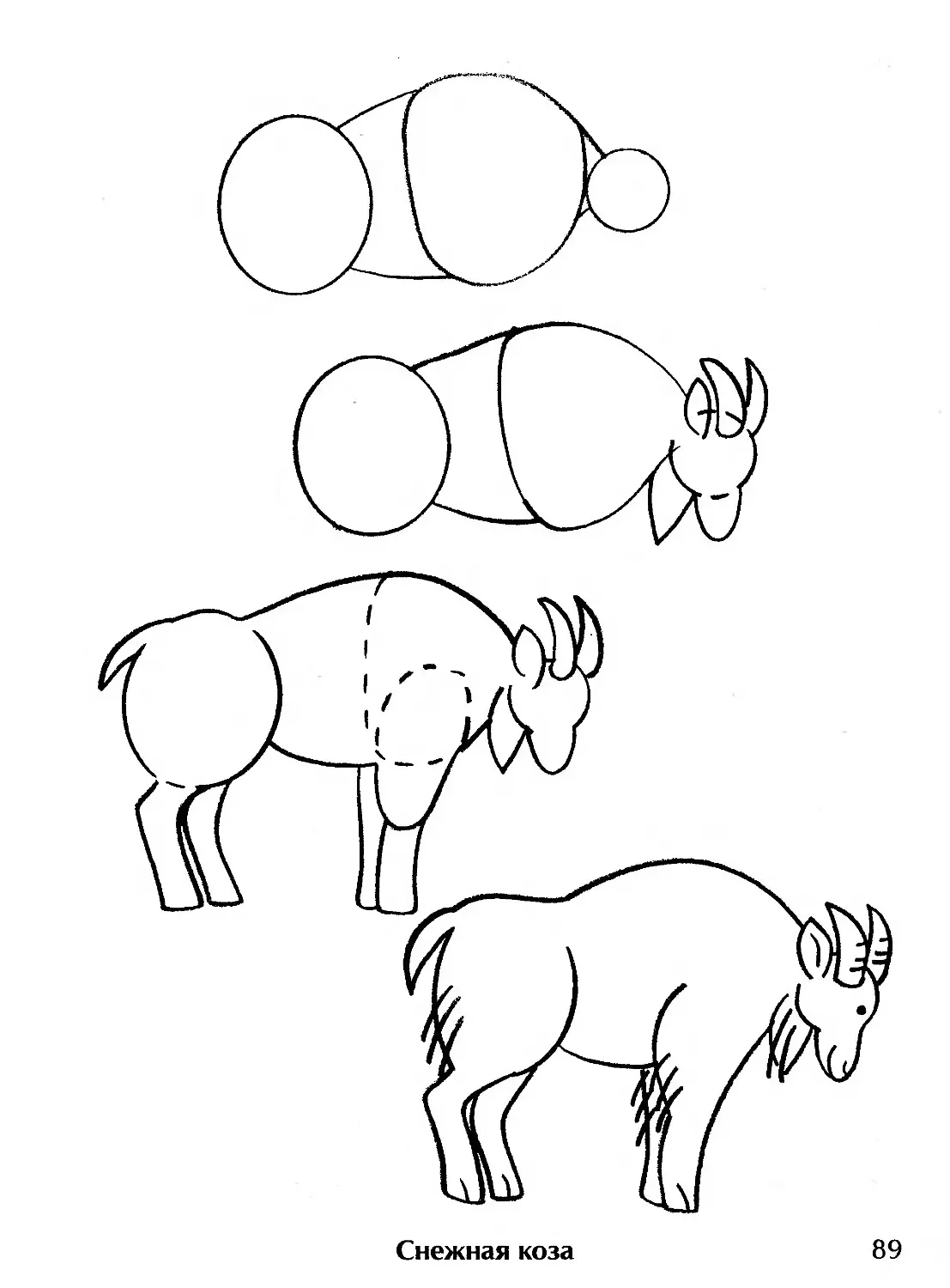 Схемы рисунков животных для детей