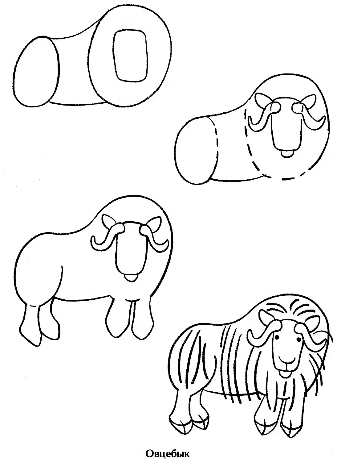 Овцебык рисунок карандашом для детей