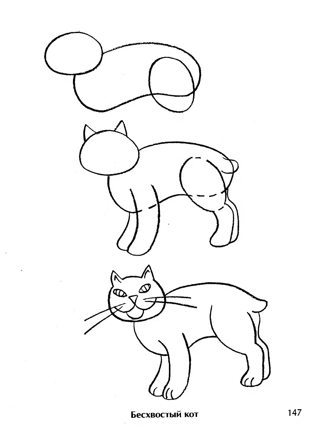 Поэтапное рисование кошки
