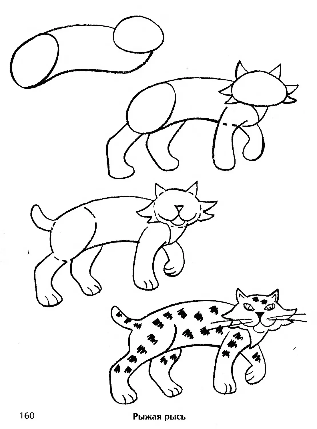 Рисование рыси для детей