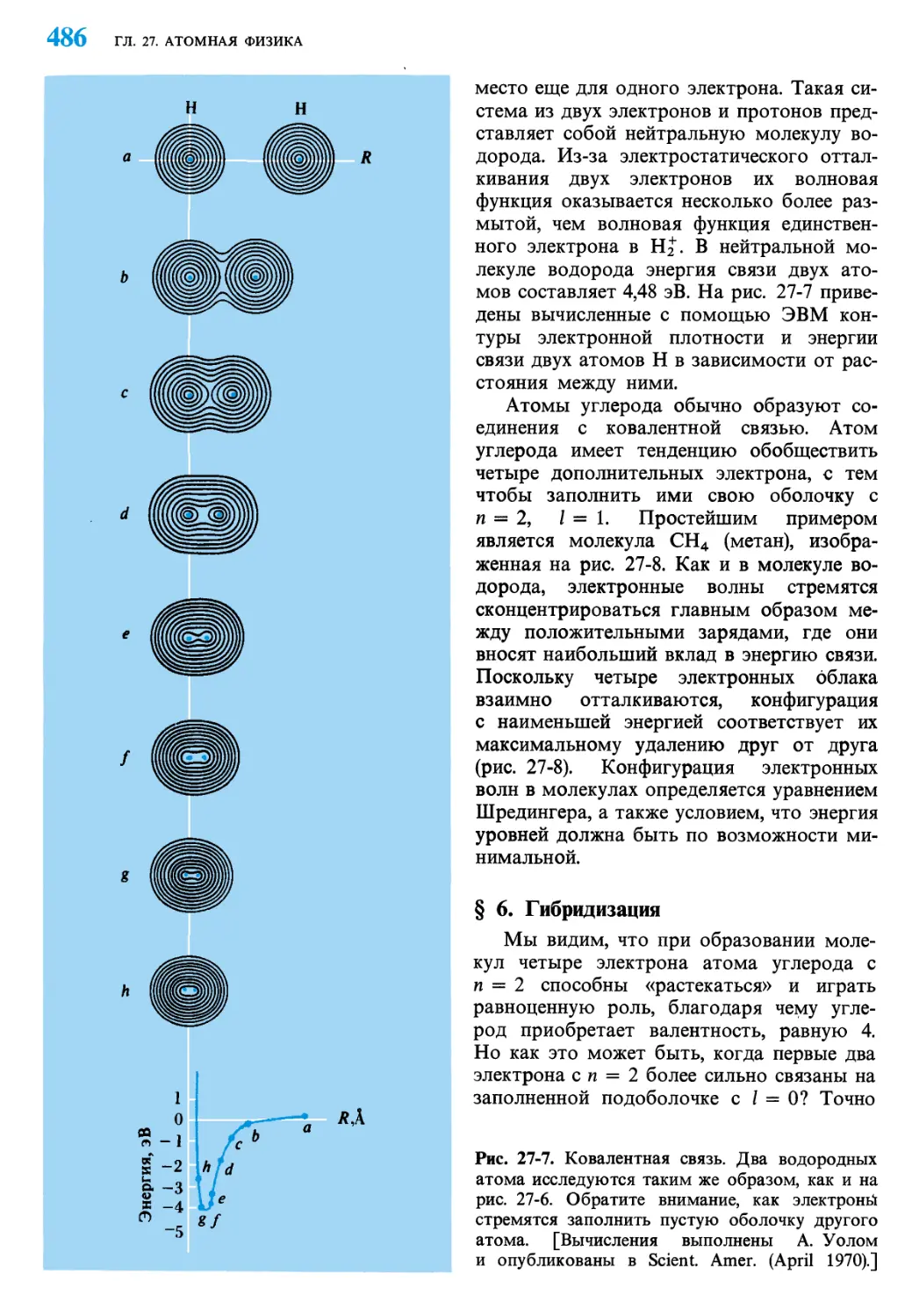 § 6. Гибридизация