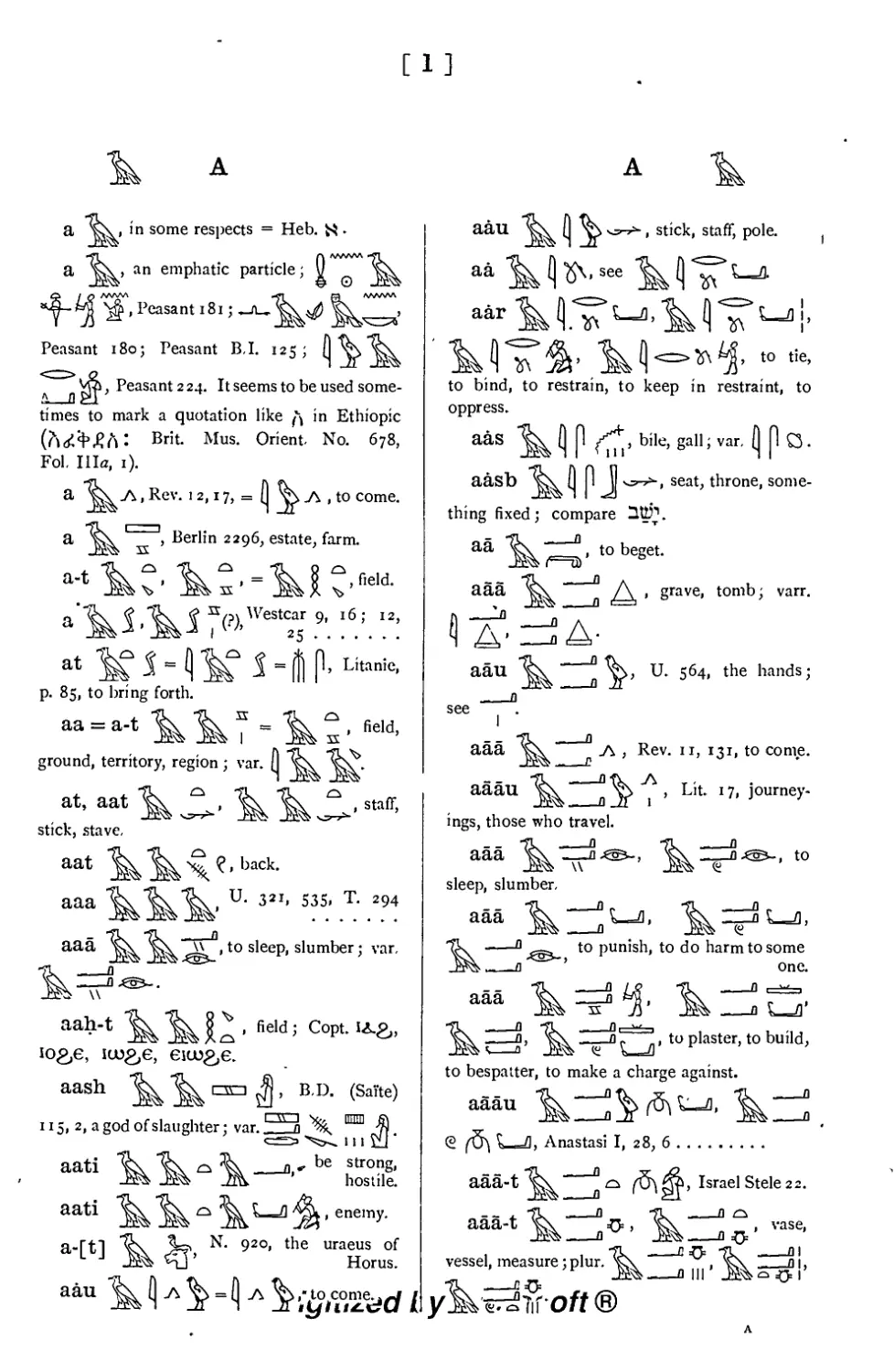 Egyptian Dictionary
