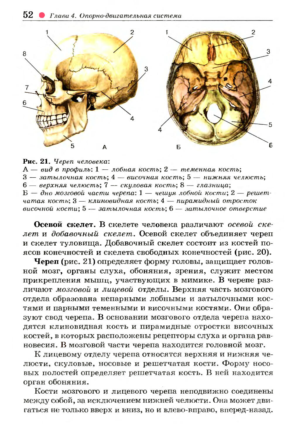 Скелет черепа биология. Строение черепной кости. Череп головного мозга анатомия. Череп человека из учебника биологии 8 класс. Черепная коробка человека строение.
