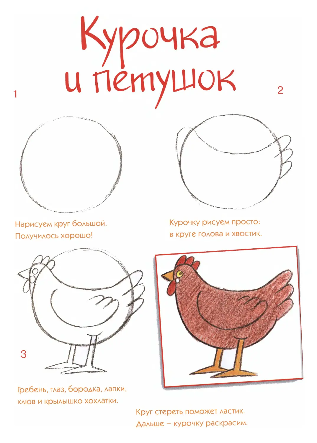 Как нарисовать курочку карандашом поэтапно для детей