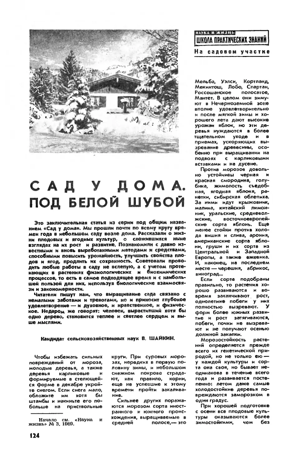 В. ШАЙКИН, канд. сельхоз. наук — Сад у дома. Под белой шубой