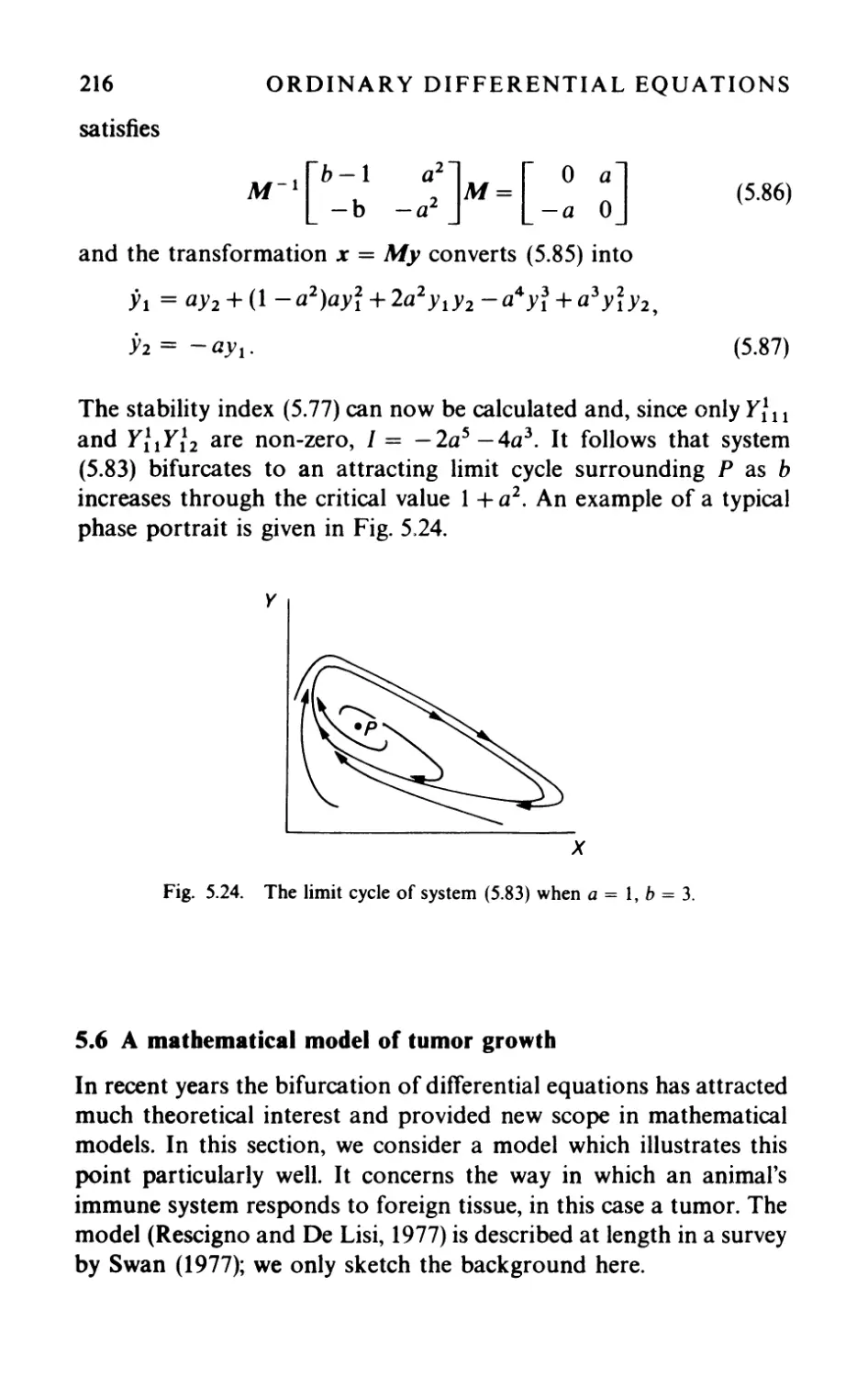 5.6 A mathematical mode] of tumor growth