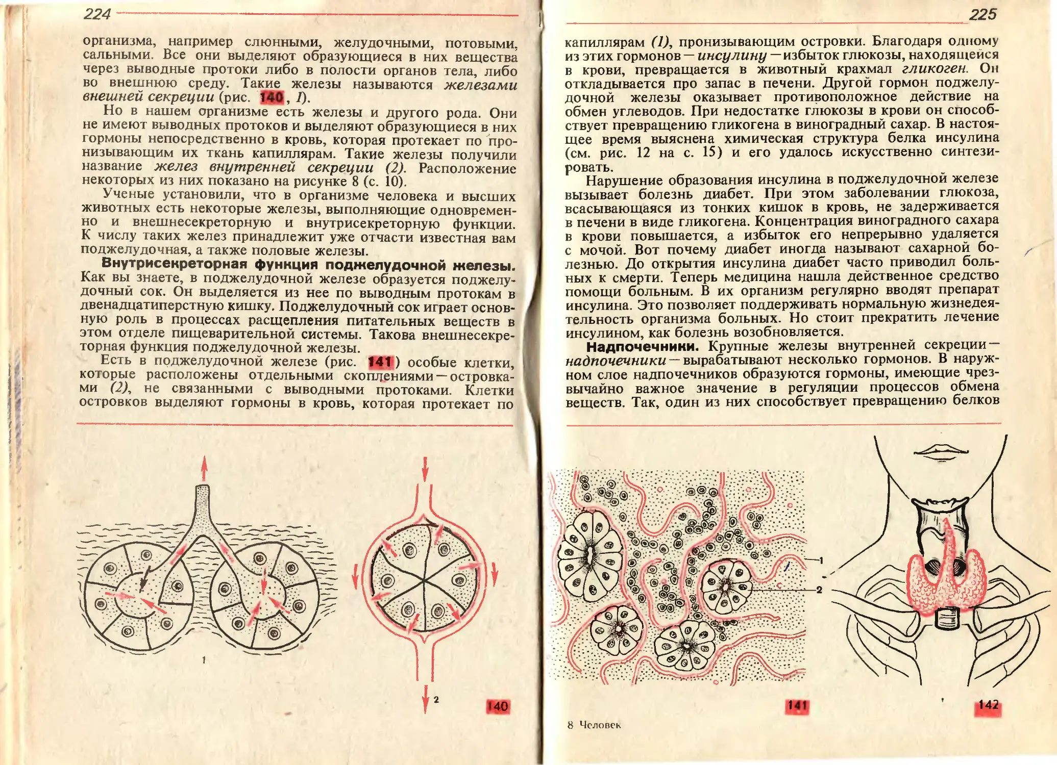 Брыксина анатомия и физиология. Учебник по анатомии СССР. Анатомия физиология и гигиена учебник. Анатомия человека учебник 8 класс. Учебник по анатомии 8 класс.