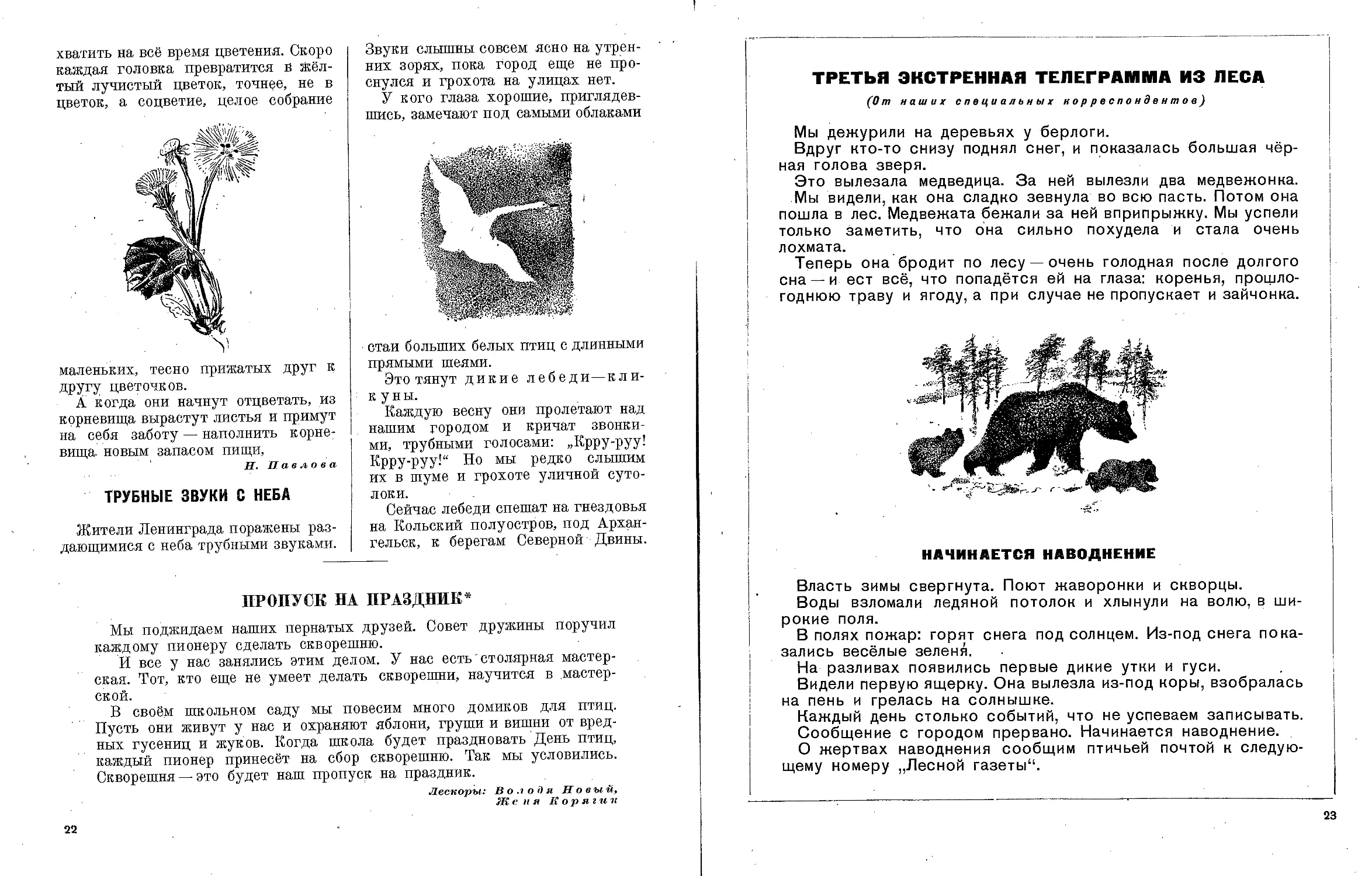 В бианки лесная газета читать 3 класс. Произведение Виталия Бианки Лесная газета. Книга Бианки Лесная газета.