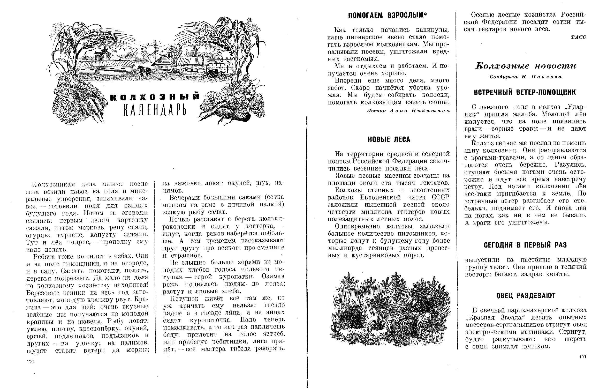 Лесная газета. Календарь Лесная газета. Лесная газета иллюстрации.