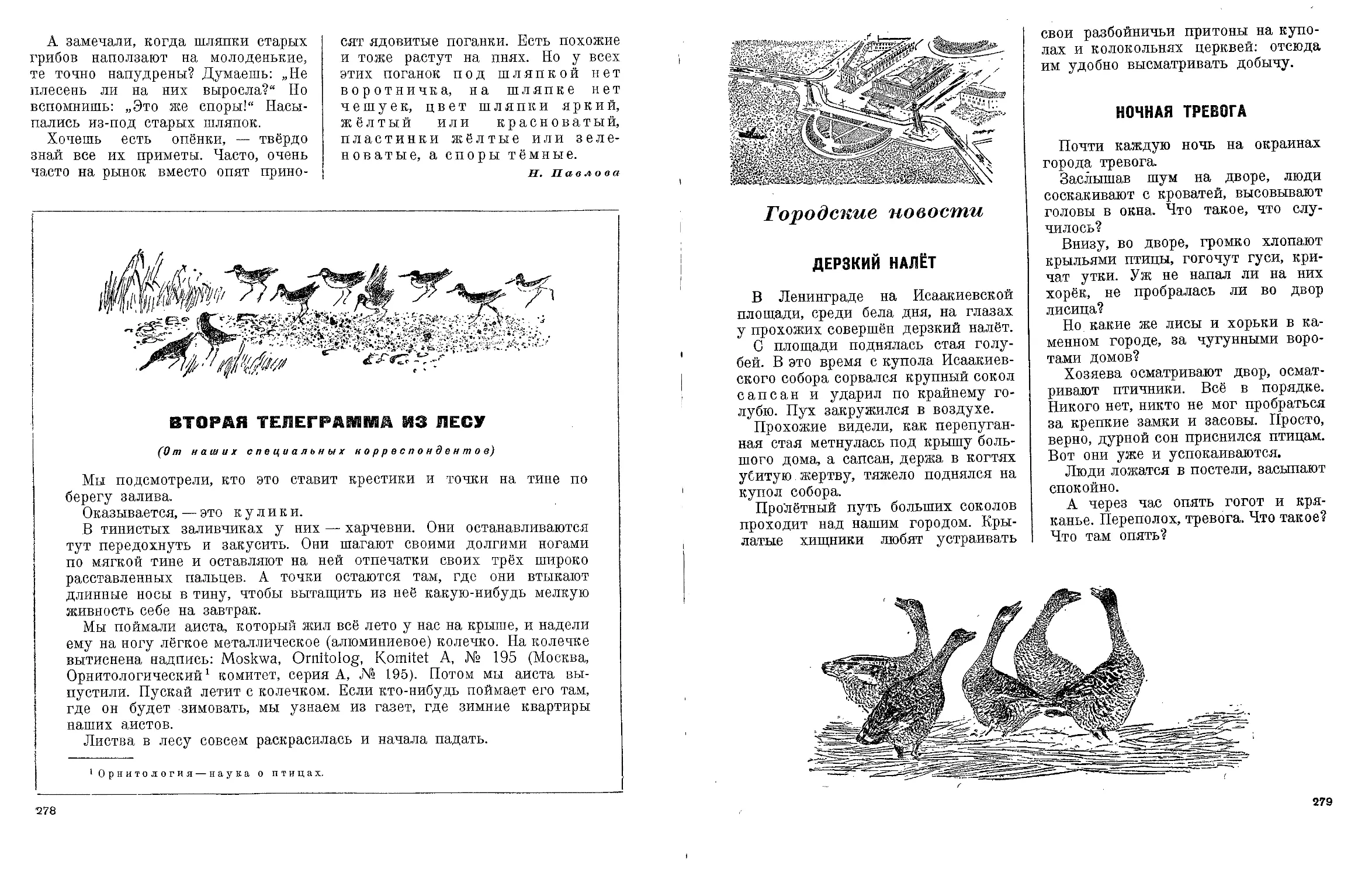 Книга Бианки Лесная газета. Книга Виталия Бианки Лесная газета.