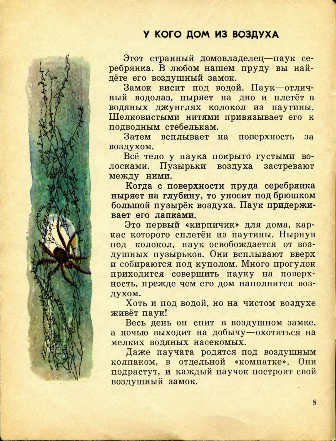 Кто без крыльев летает читательский дневник. Акимушкин кто без крыльев летает читать. Кто без крыльев летает. Кто без крыльев летает рисунок.