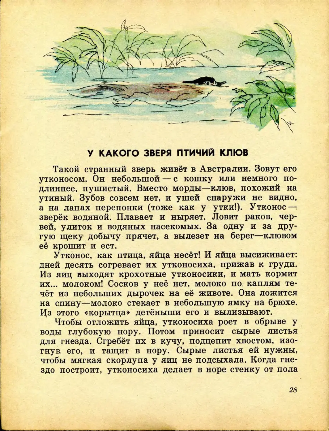 Кто без крыльев летает читать. Кто без крыльев летает. Акимушкин кто без крыльев летает. Акимушкин кто без крыльев летает читать. Акимушкин книги.