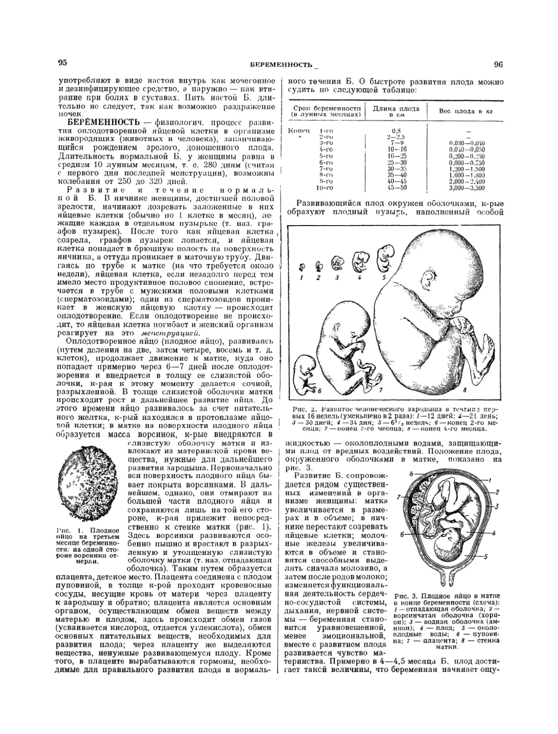 Беременность — А. Л. Каплан