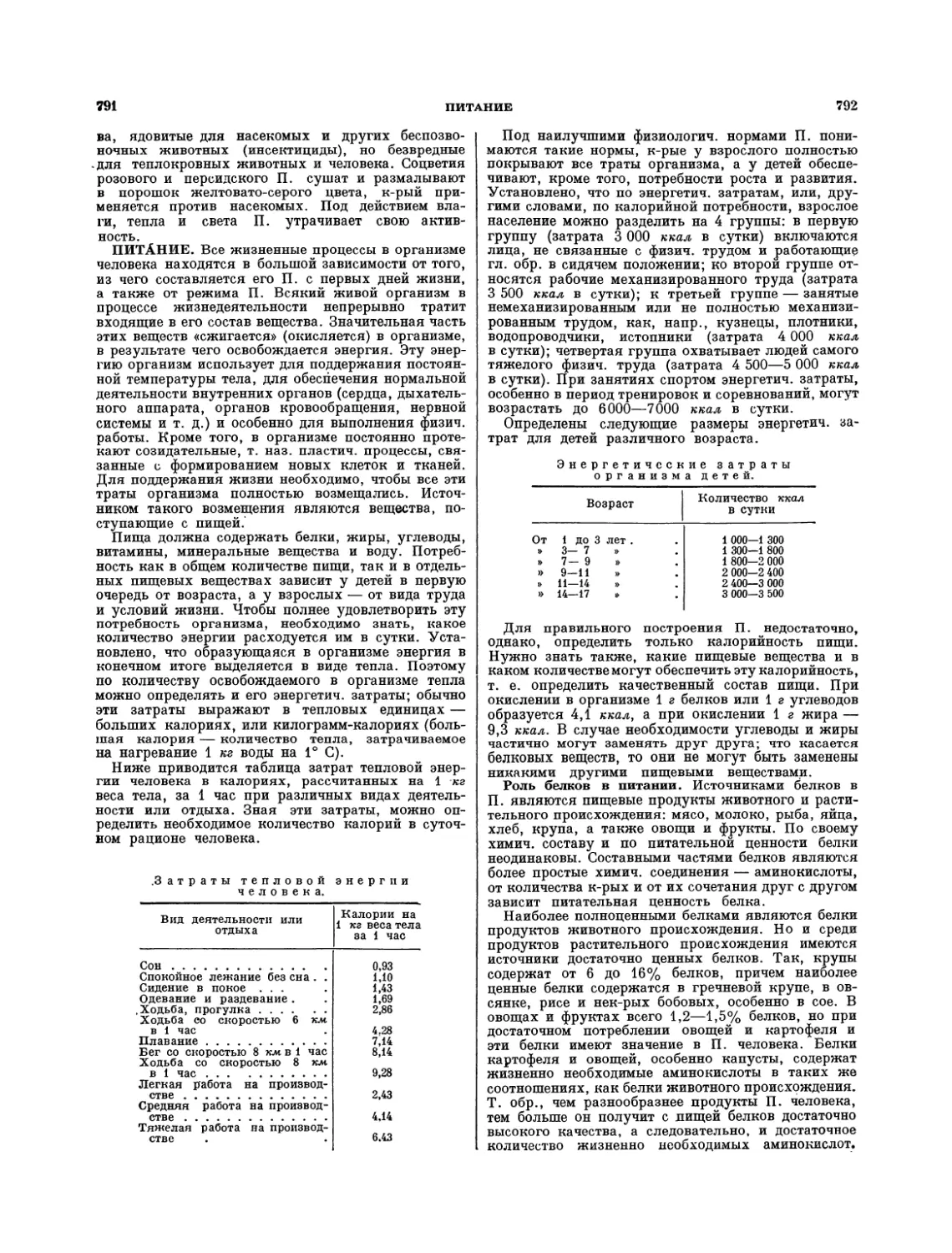 Питание — О. П. Молчанова