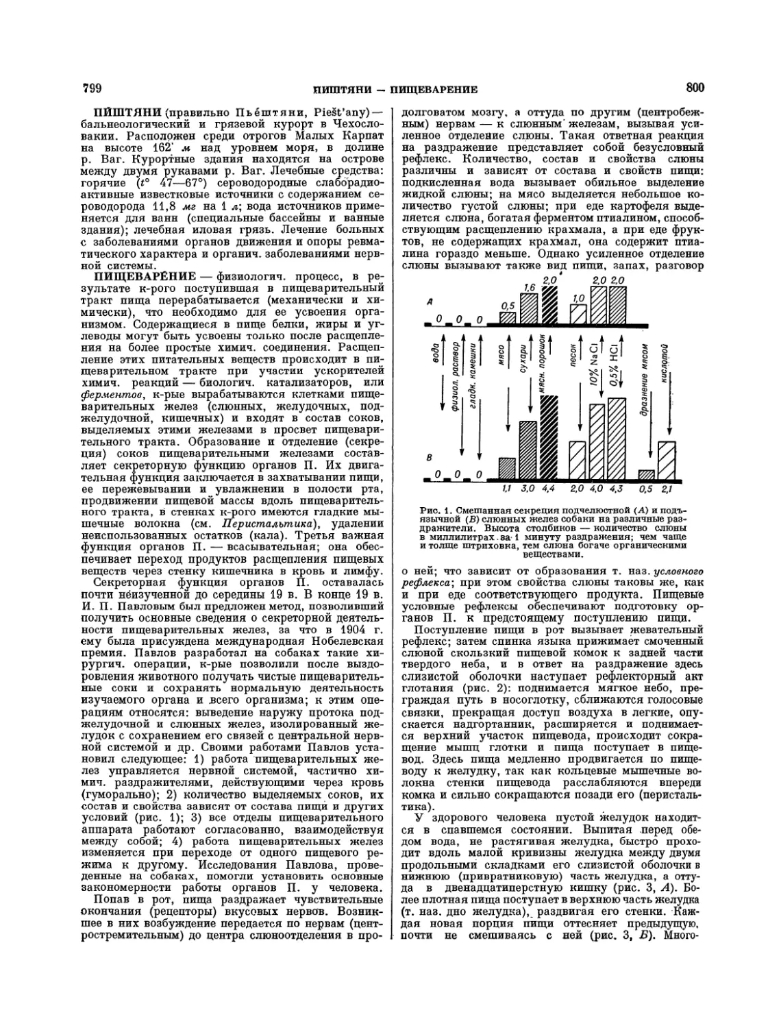 Пищеварение — А. Н. Кабанов