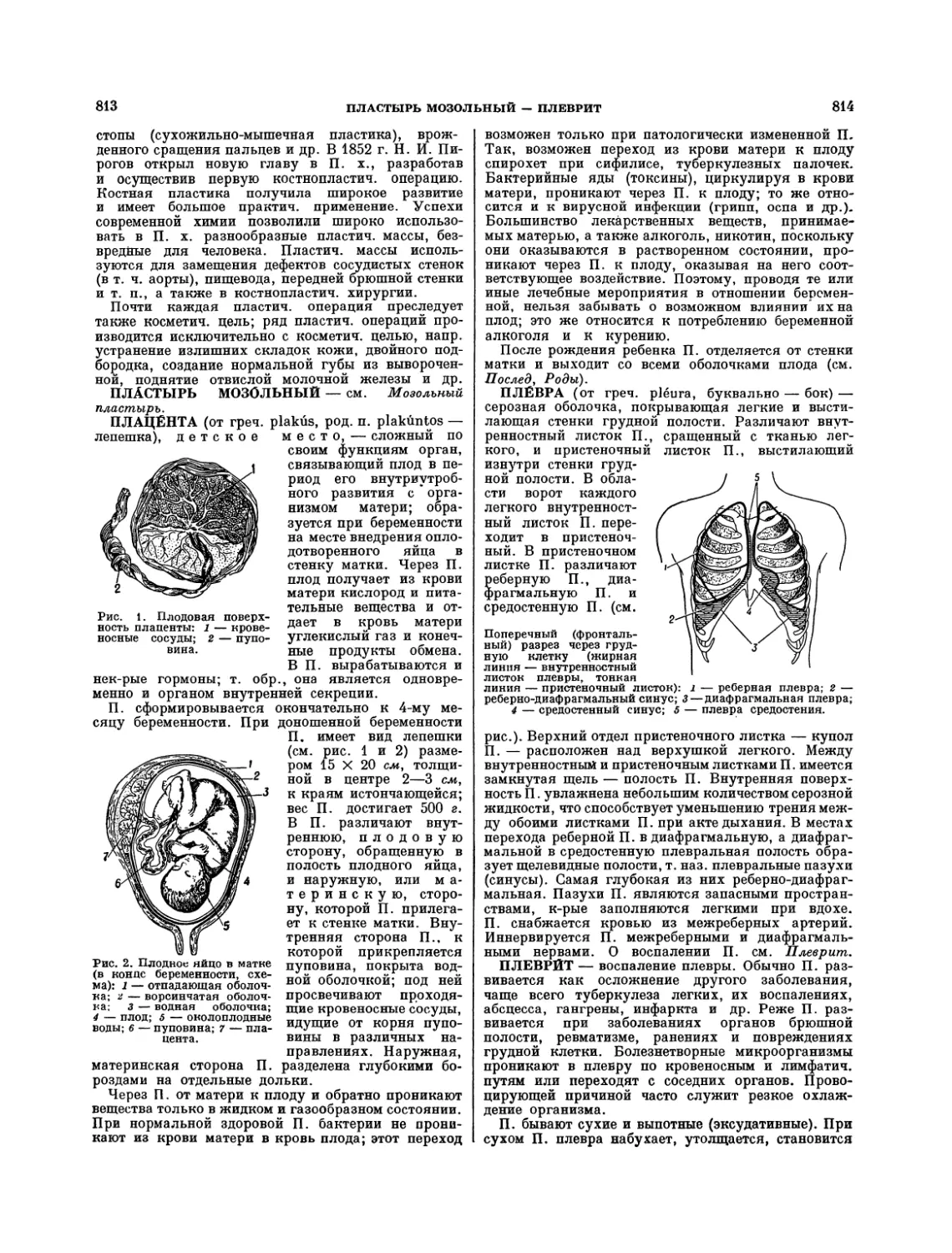 Плеврит — В. И. Кристман