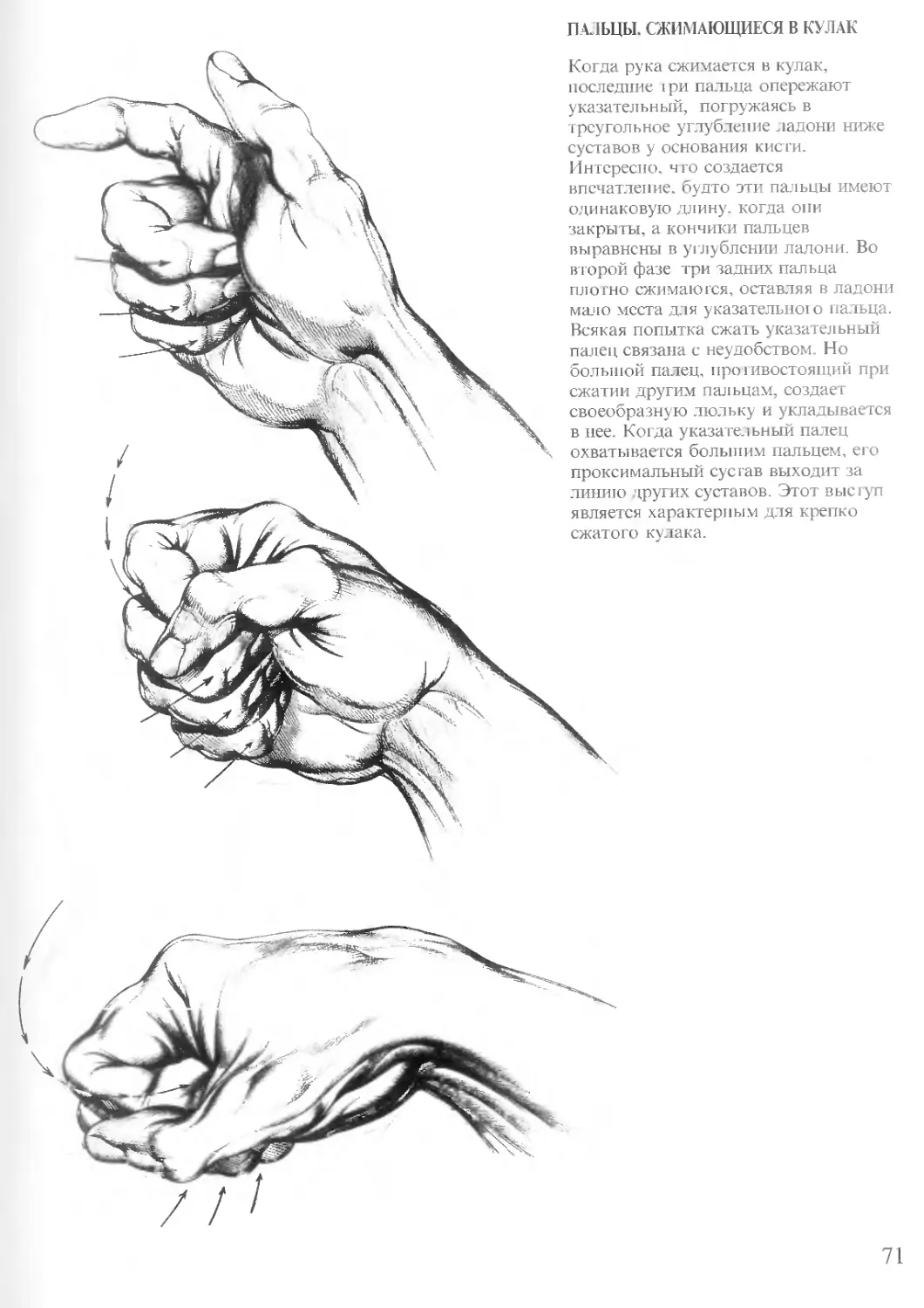 Зарисовка руки кулак