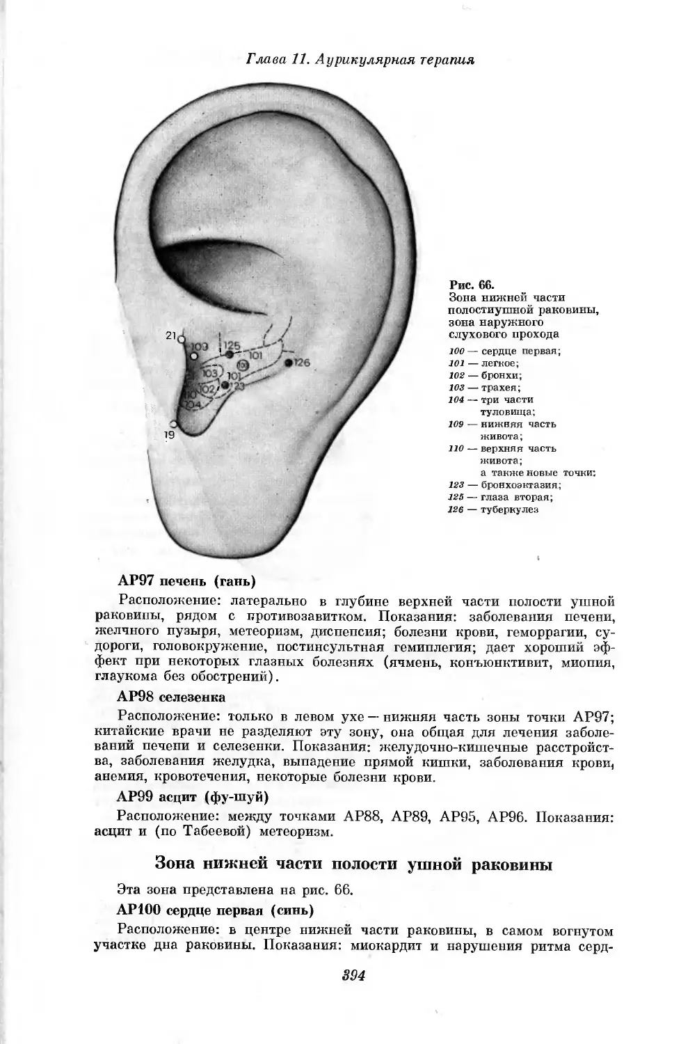 Зона нижней части полости ушной раковины