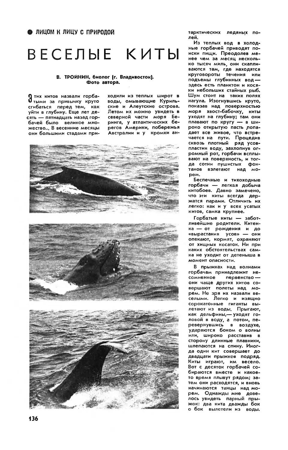 В. ТРОЙНИН — Веселые киты