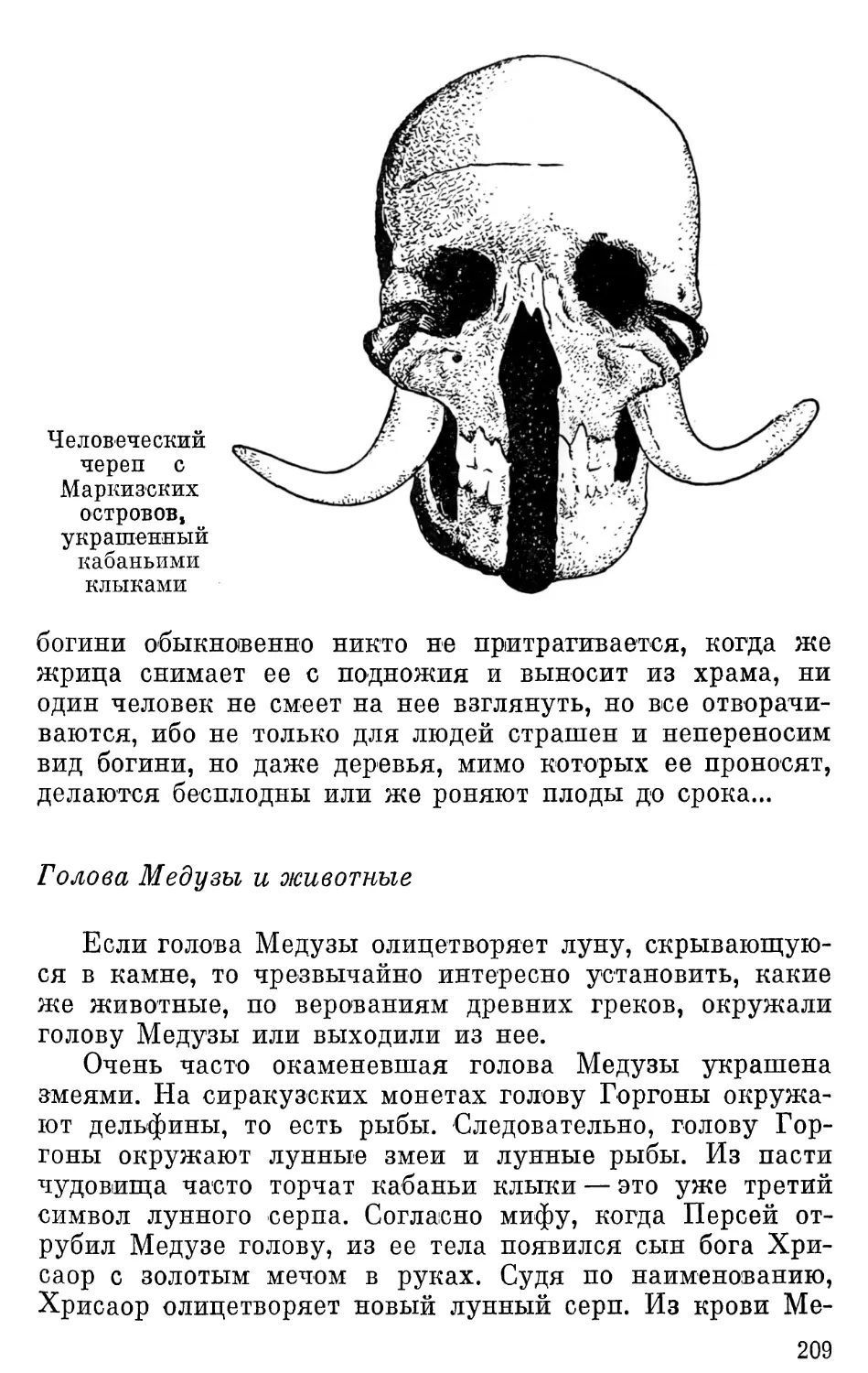 Голова Медузы и животные