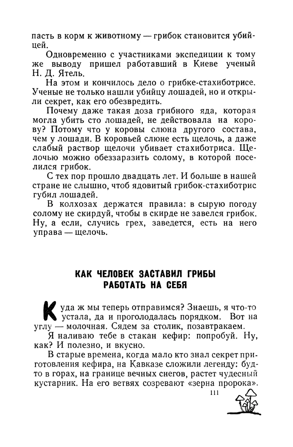 Как человек заставил грибы работать на себя