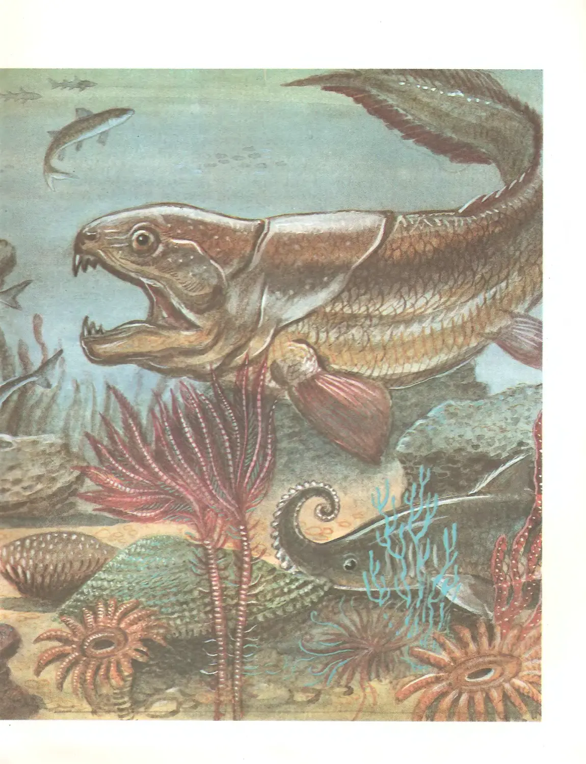Когда появились первые позвоночные животные. Палеозойская Эра Девонский период рыбы. Девонский период палеозойской эры. Костистые рыбы Палеозойская Эра. Палеозой Девон.