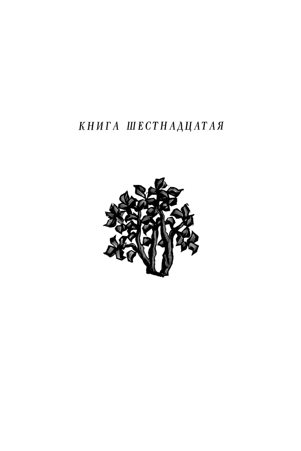 КНИГА ШЕСТНАДЦАТАЯ