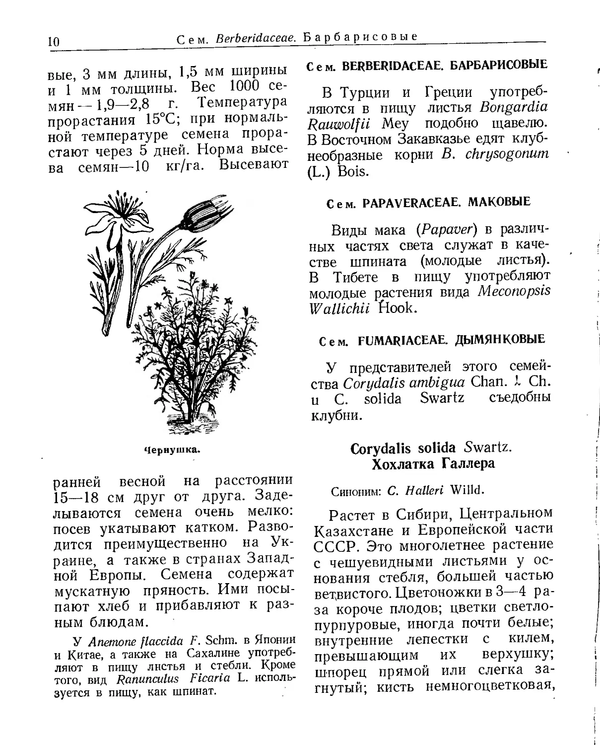 Сем. Berberidaceae. Барбарисовые
Сем. Papaveraceae. Маковые
Сем. Fumariaceae. Дымянковые