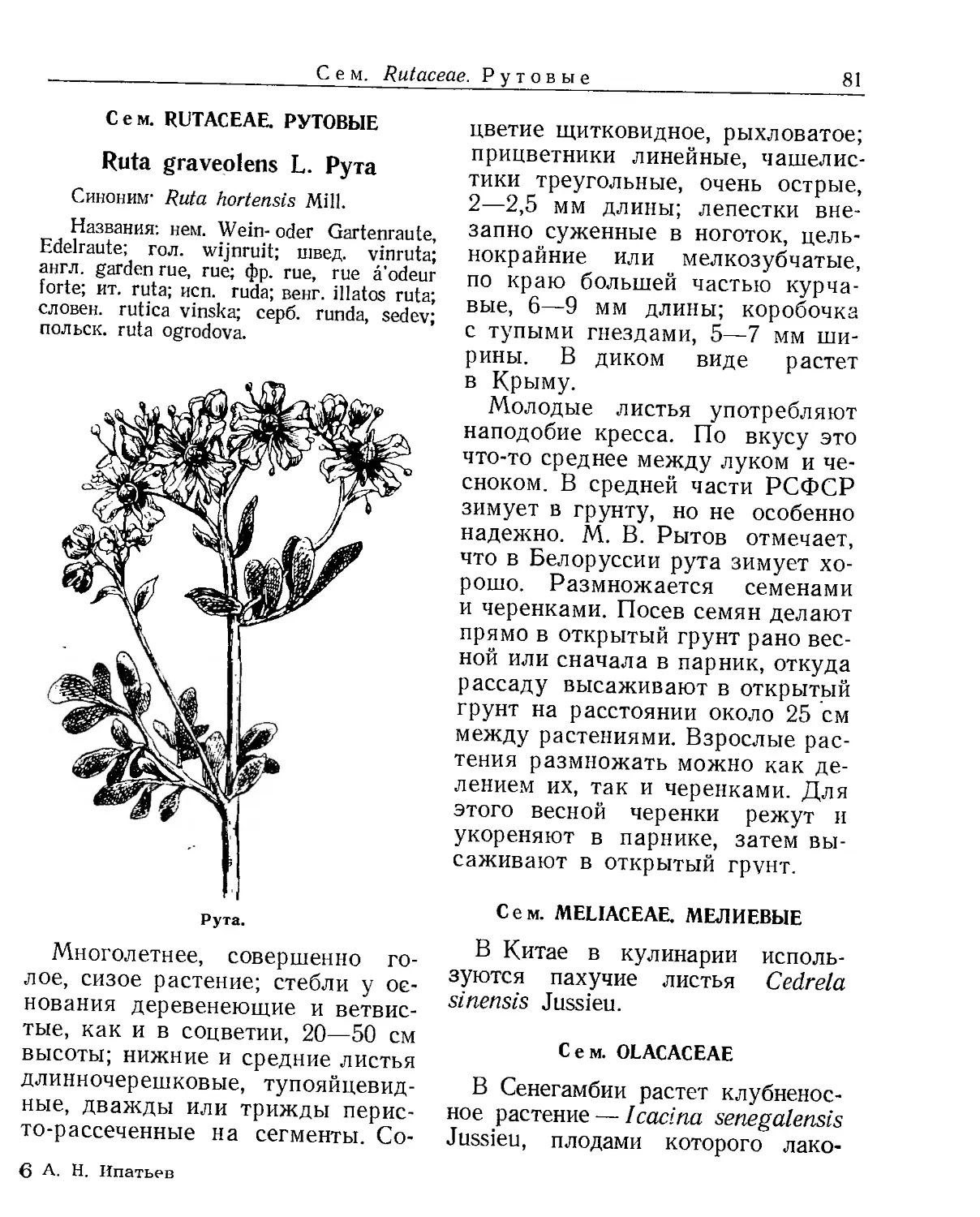 Сем. Rutaceae. Рутовые
Сем. Meliaceae. Мелиевые
Сем. Olacaceae