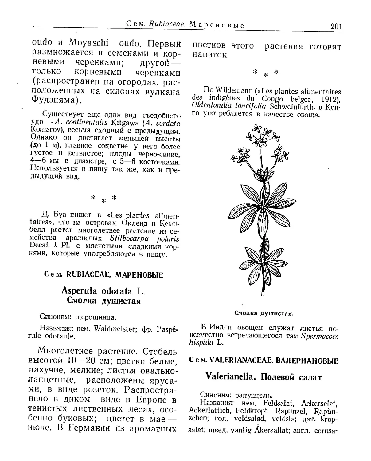 Сем. Rubiaceae. Мареновые
Сем. Valerianaceae. Валериановые