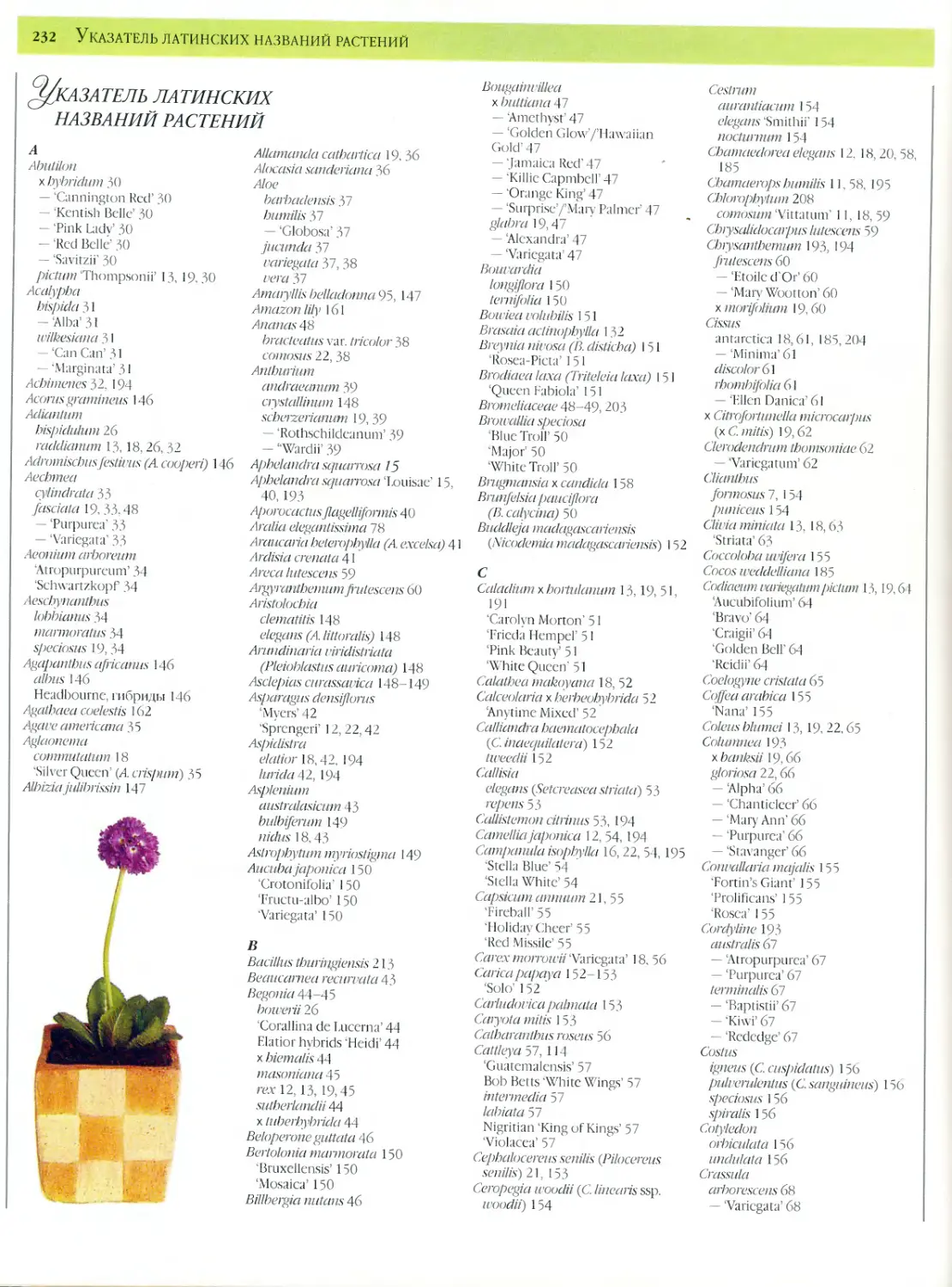 Указатель латинских названий растений