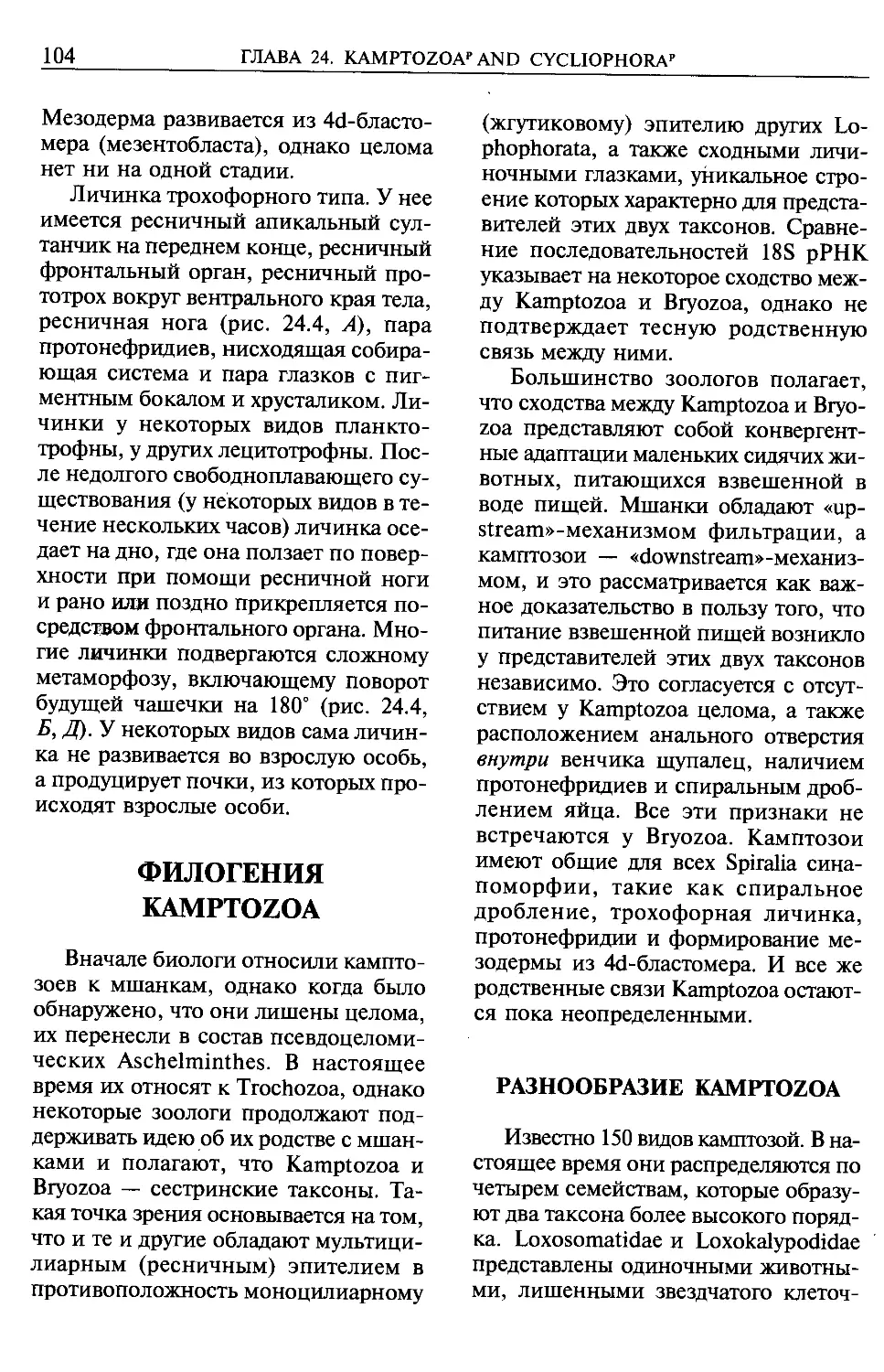 Филогения Kamptozoa.