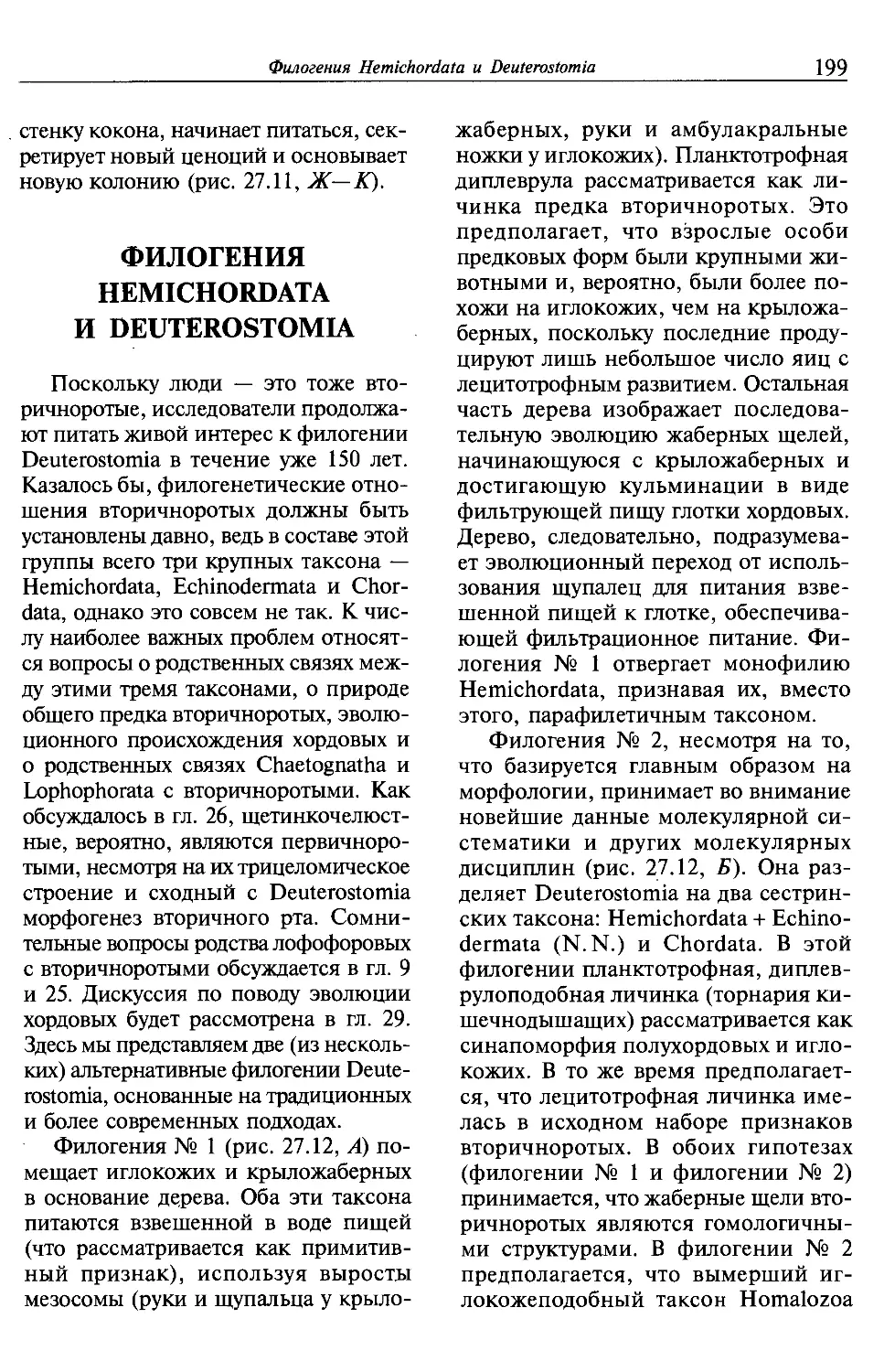 Филогения Hemichordata и Deuterostomia.