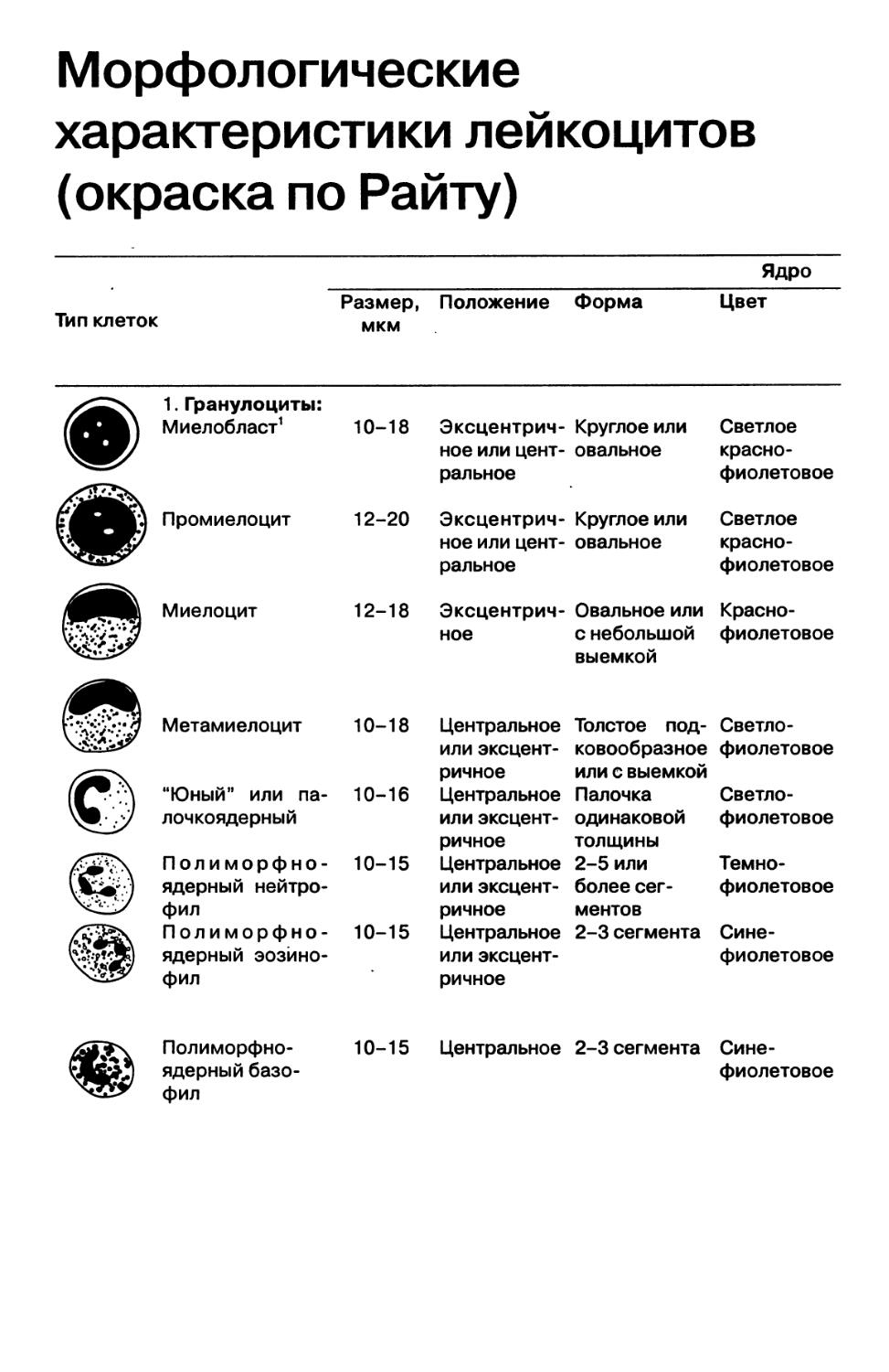 Приложение 4. Морфологические характеристики лейкоцитов