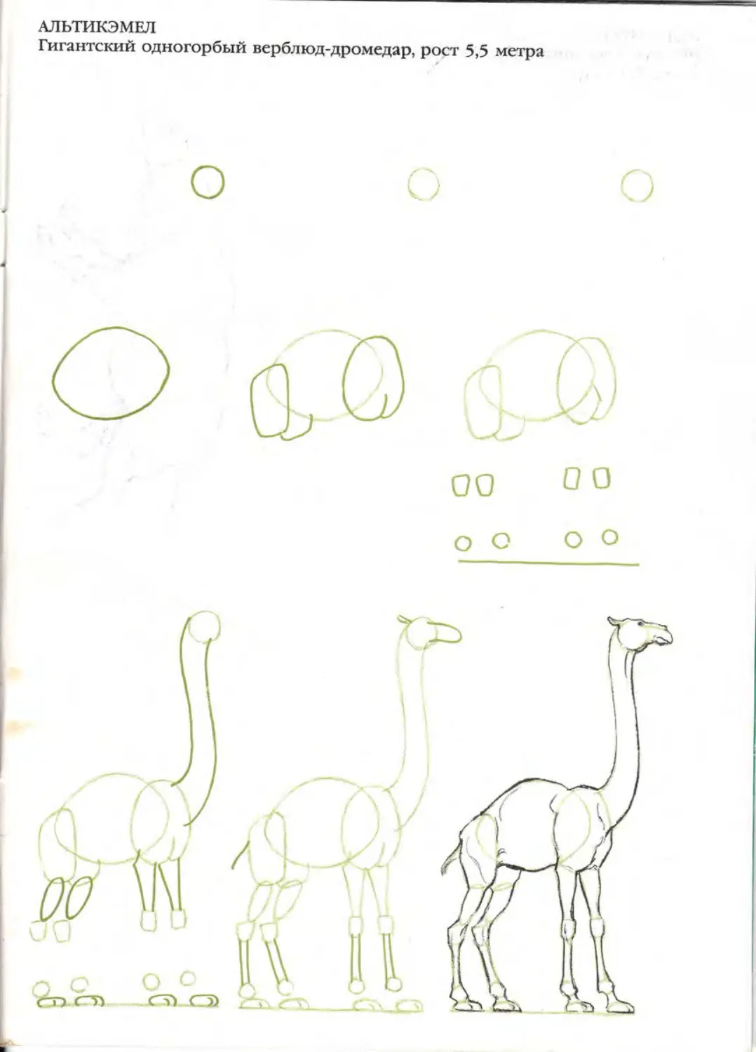 Ли Эймис рисуем 50 динозавров